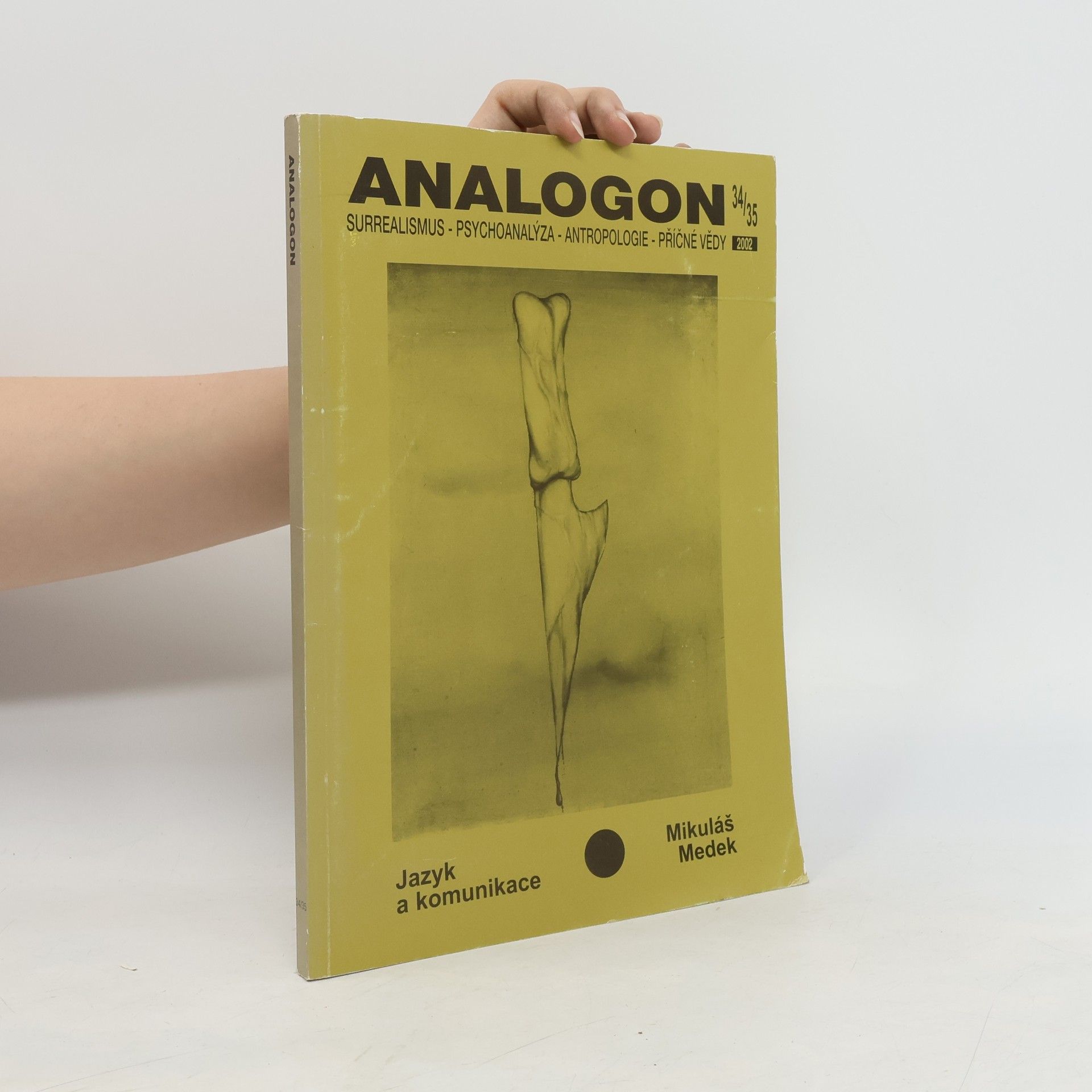Analogon 34/35 2002
