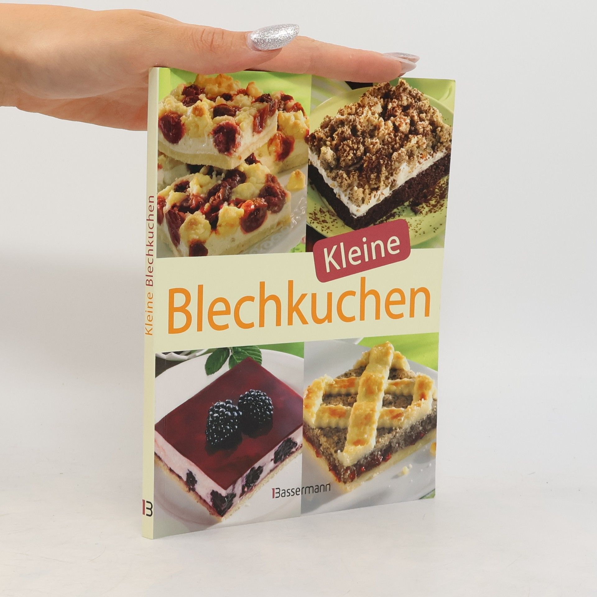 Autorenkollektiv Kleine Blechkuchen