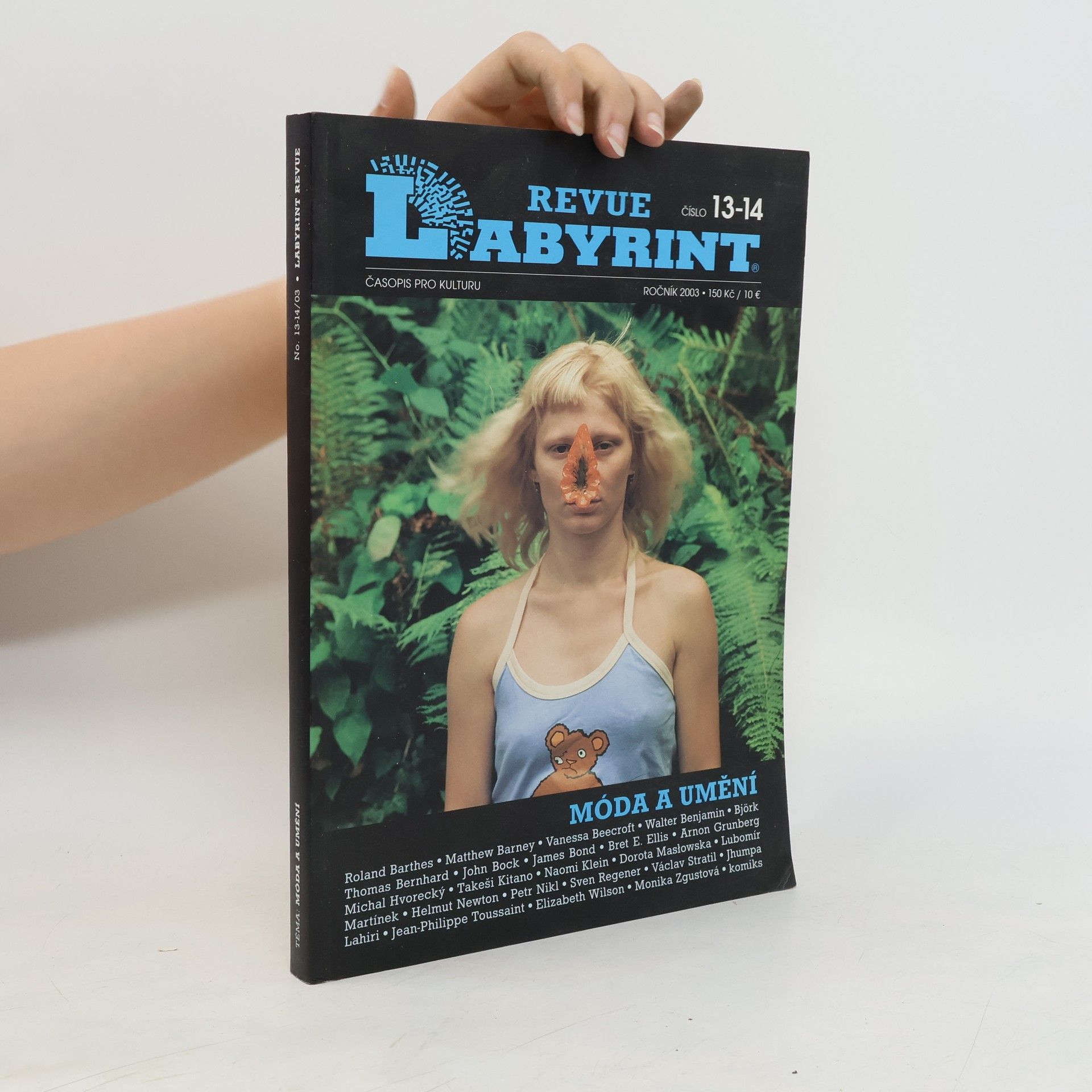 Kolektív autorov Revue Labyrint č. 13-14