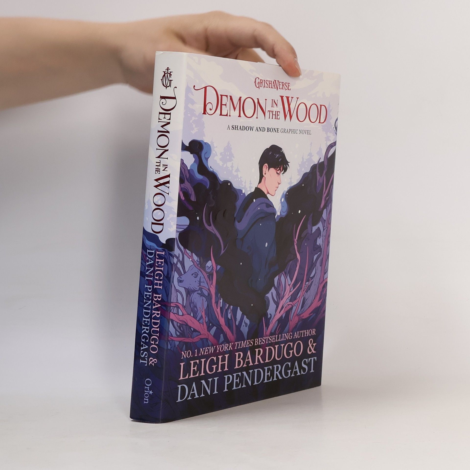 Leigh Bardugo Grishaverse: Demon in the wood