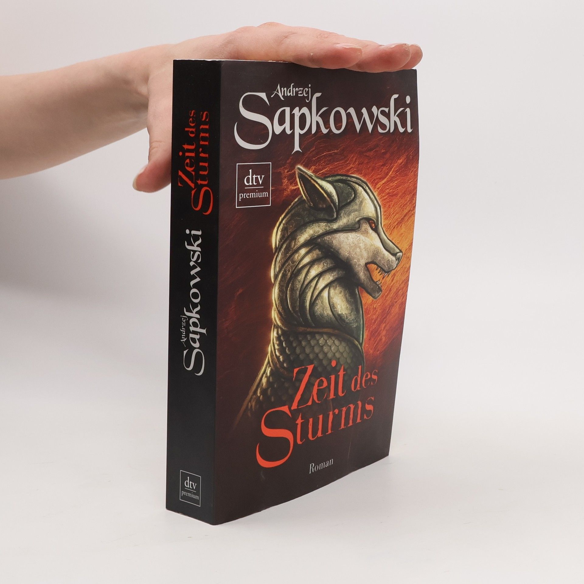 Andrzej Sapkowski Zeit des Sturms