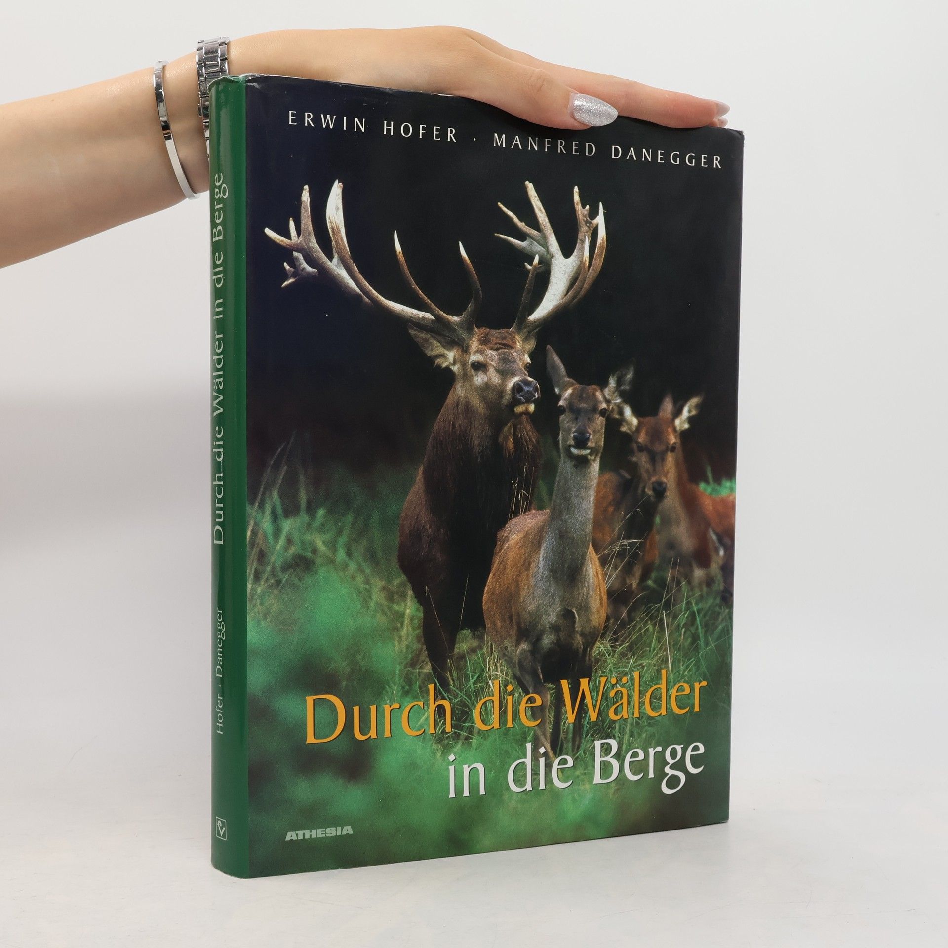 Durch die Wälder in die Berge