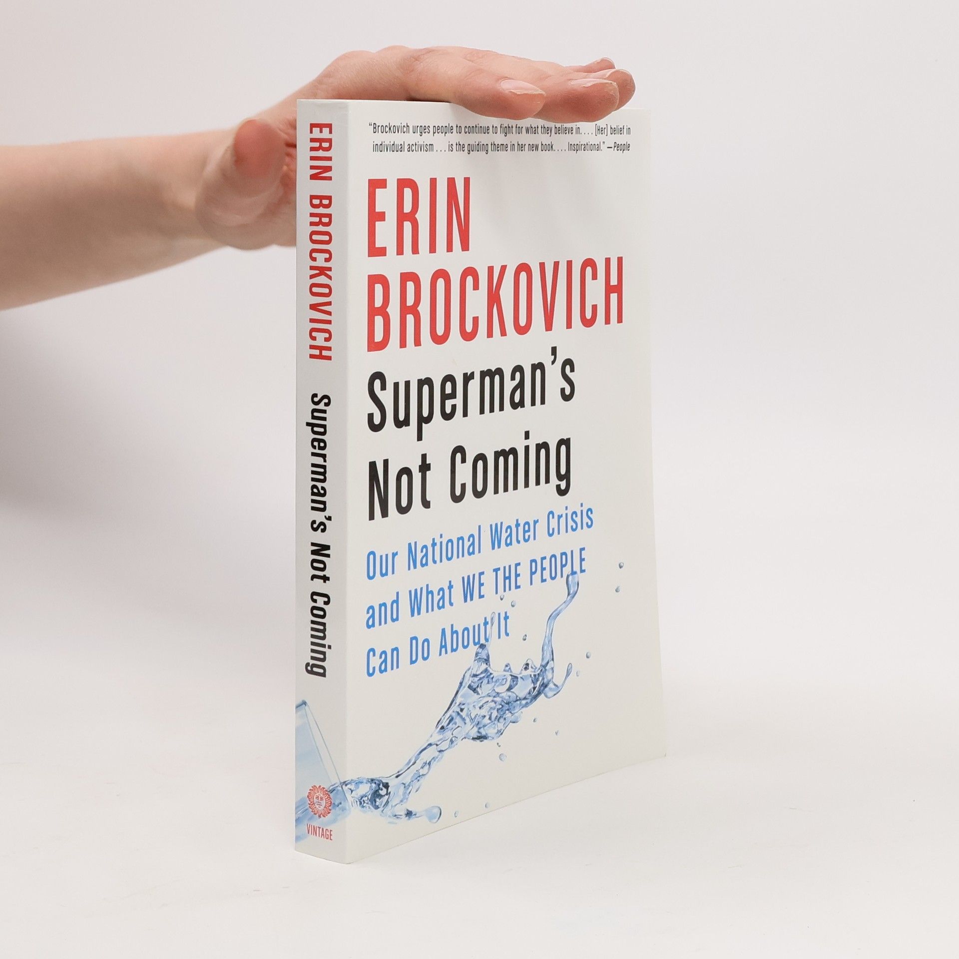 Erin Brockovich Superman's Not Coming