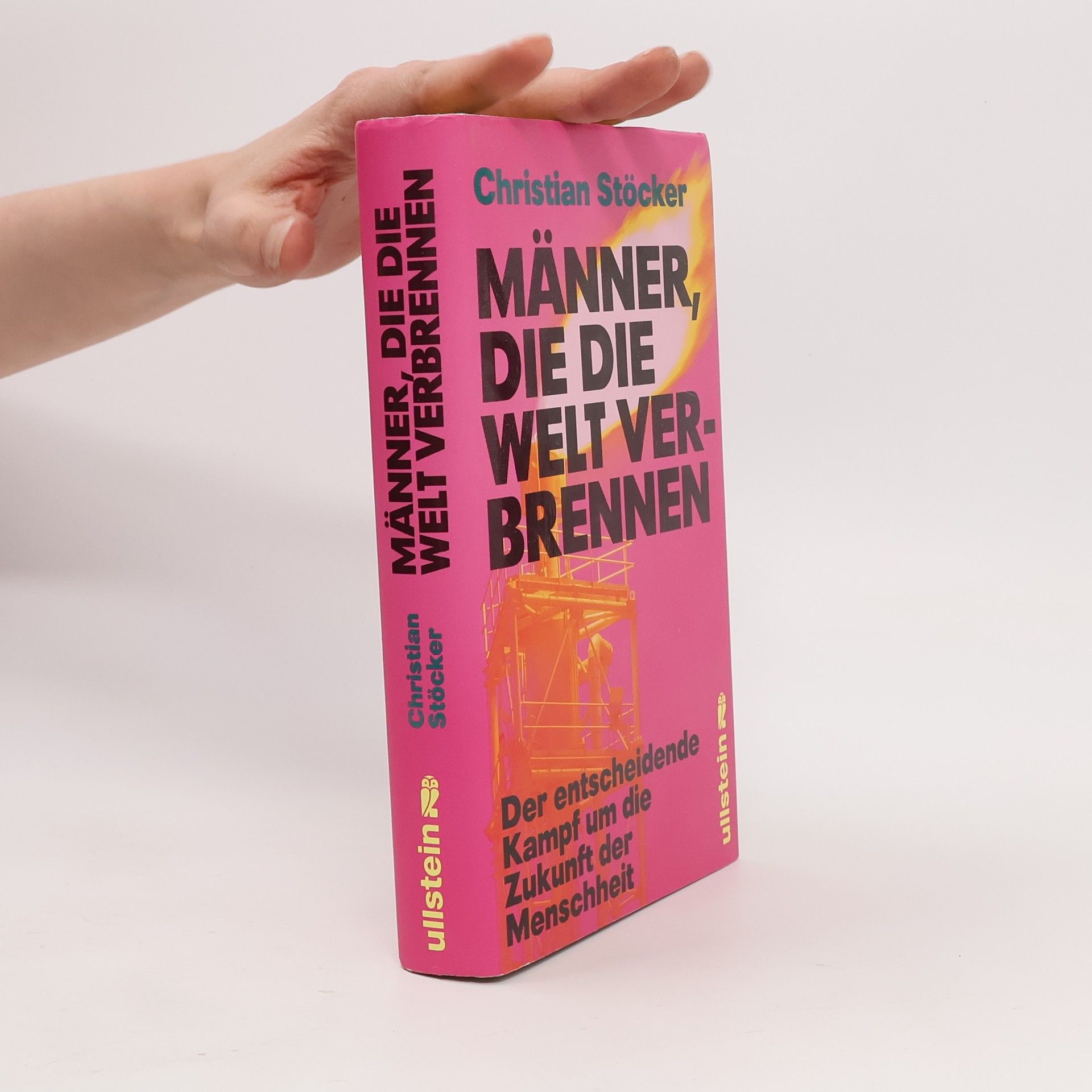 Christian Stöcker Männer, die die Welt verbrennen