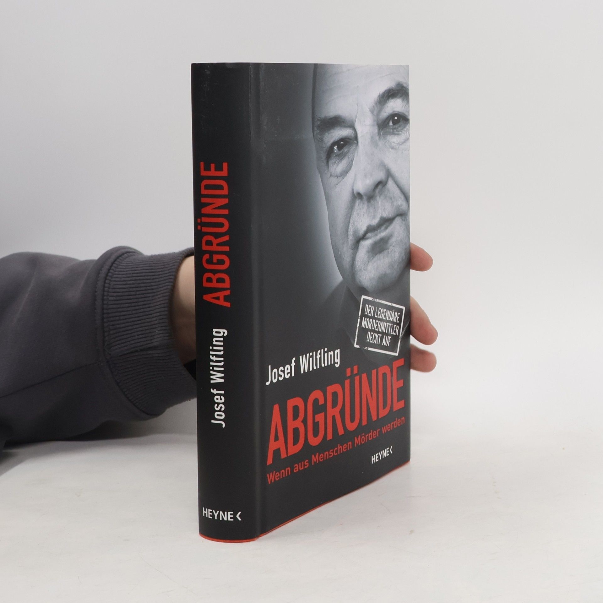 Josef Wilfling Abgründe