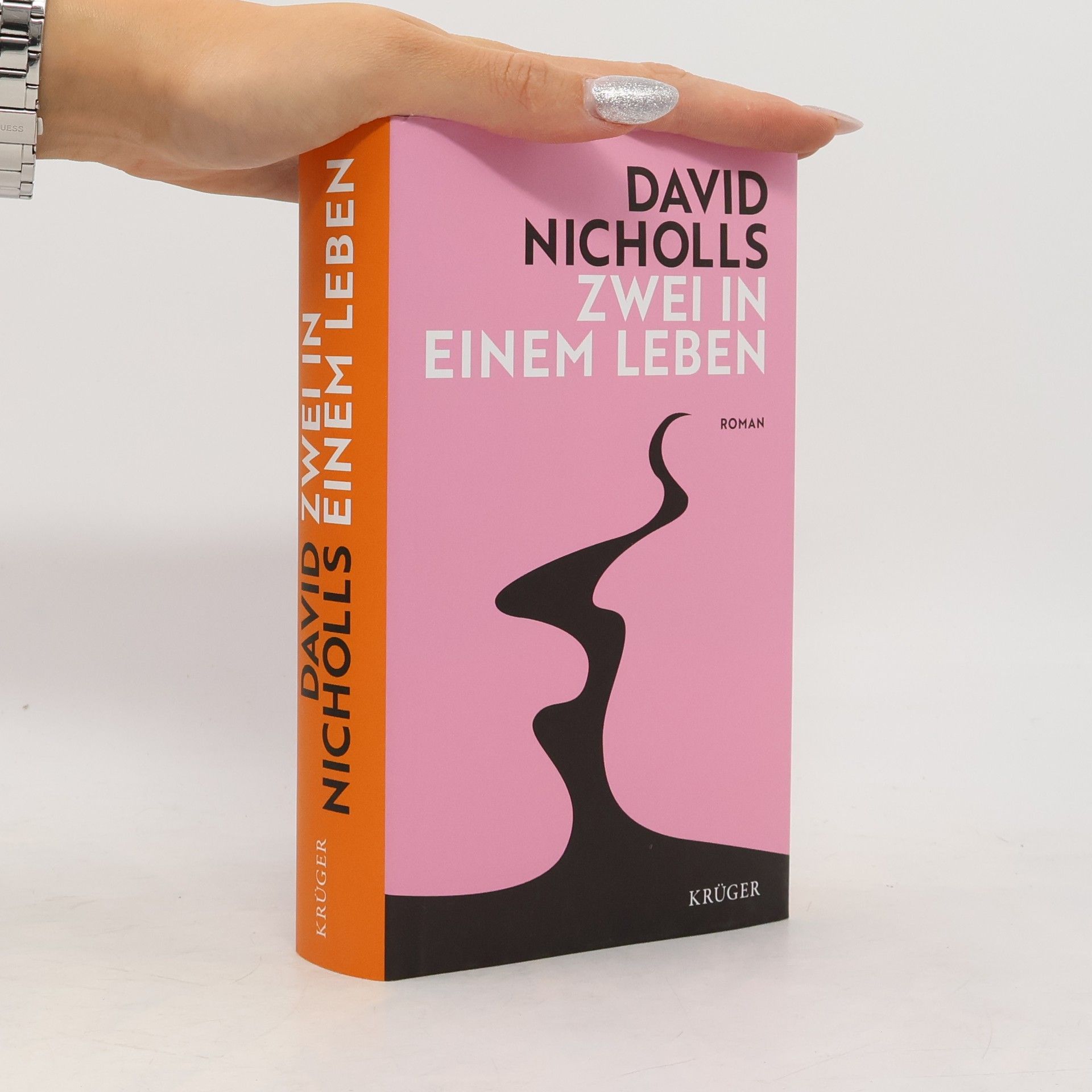 David Nicholls Zwei in einem Leben