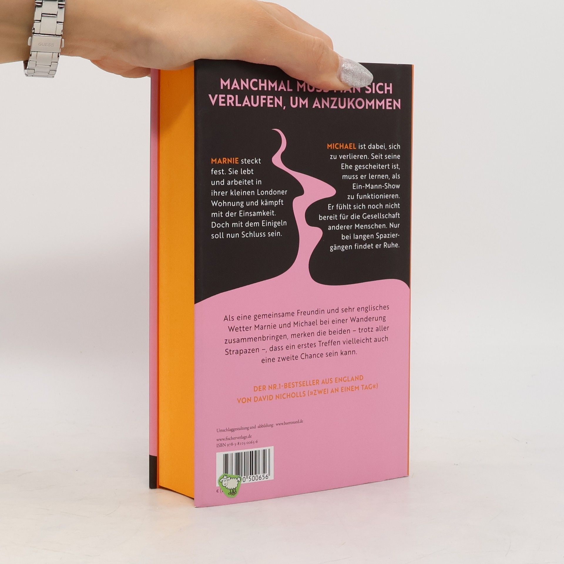 David Nicholls Zwei in einem Leben