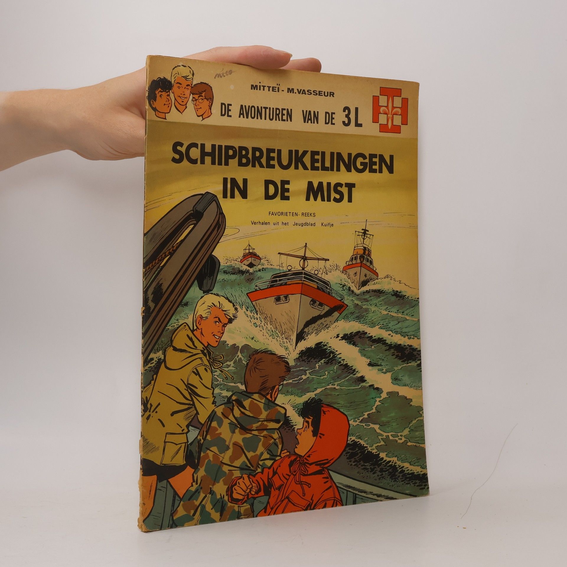 Collectif d'auteurs Schipbreukelingen in de mist