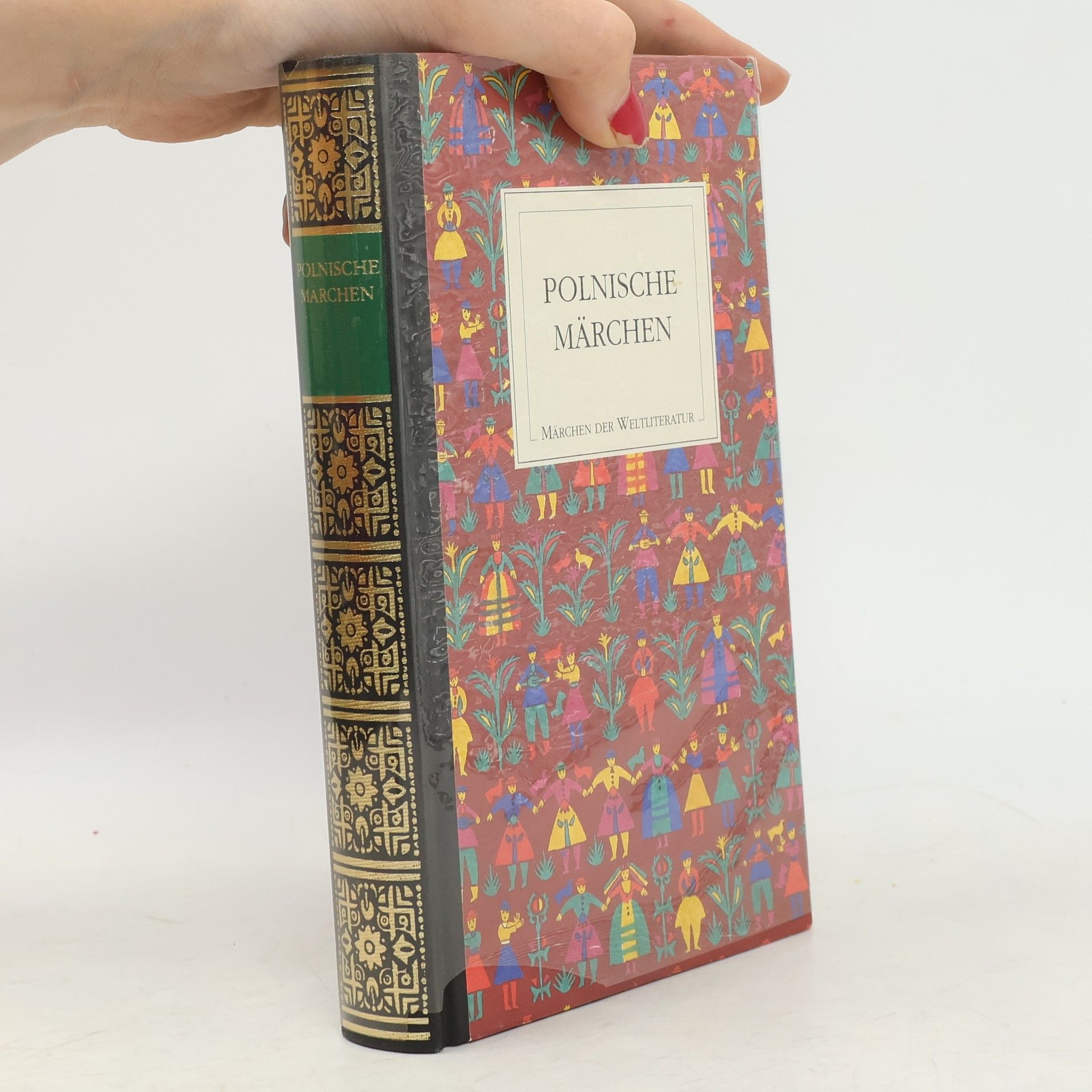 Kolektiv autorů Polnische Märchen