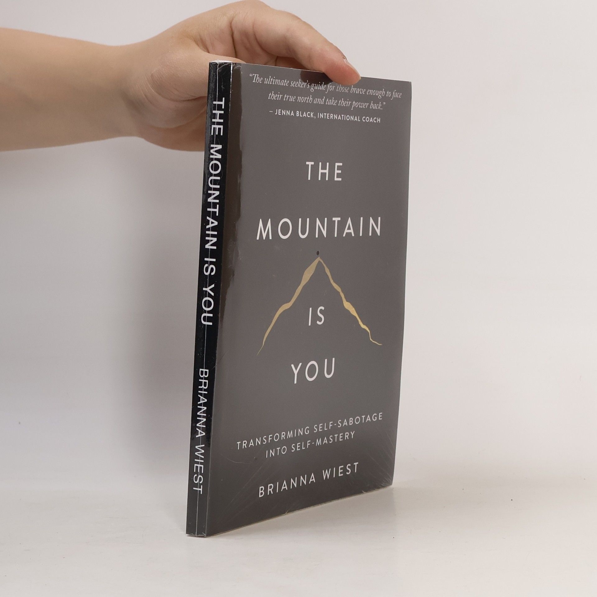 The Mountain Is You