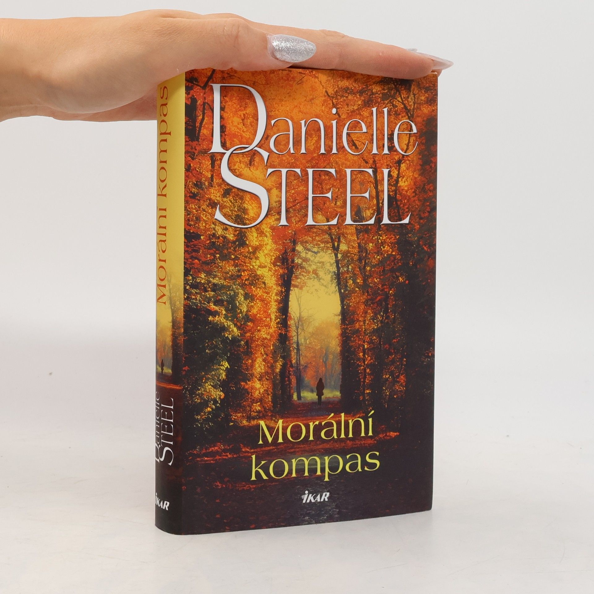 Danielle Steel Morální kompas