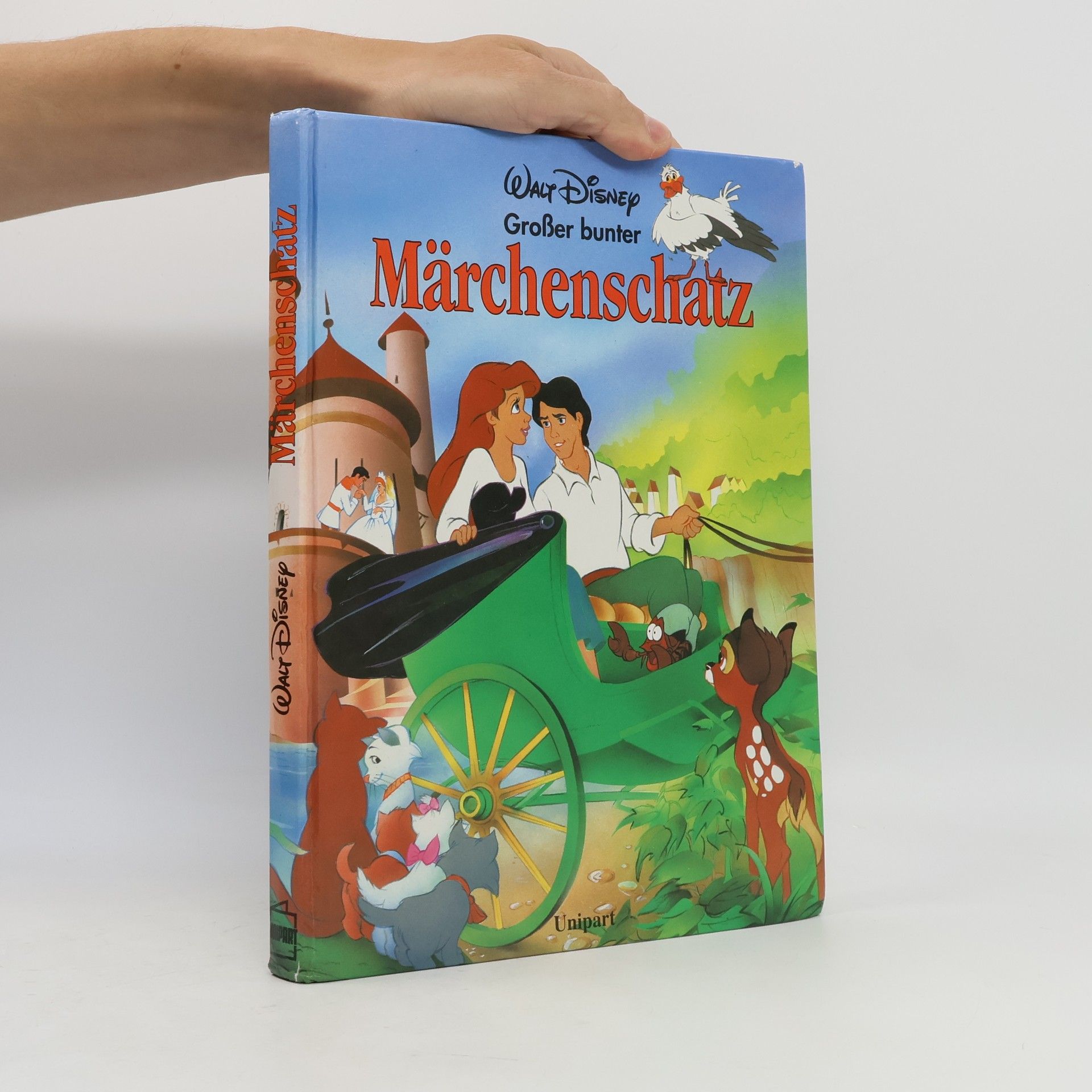 Walt Disney Grosser bunter Märchenschatz
