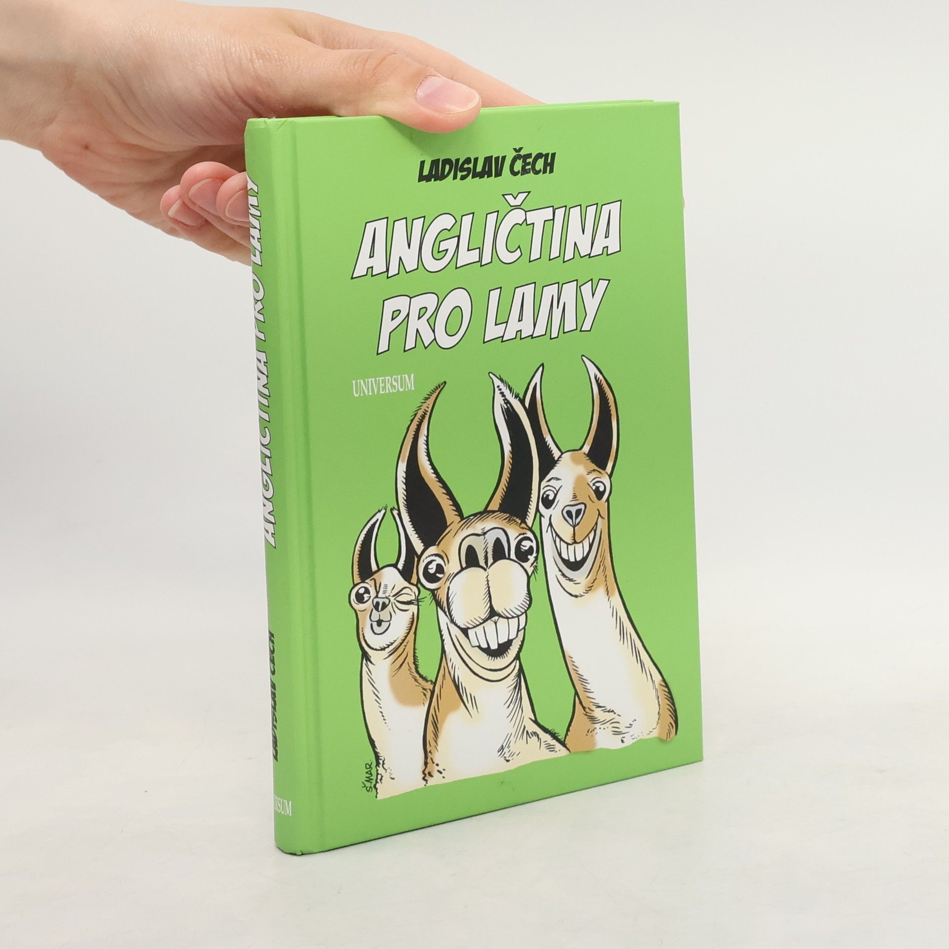 Ladislav Čech Angličtina pro lamy