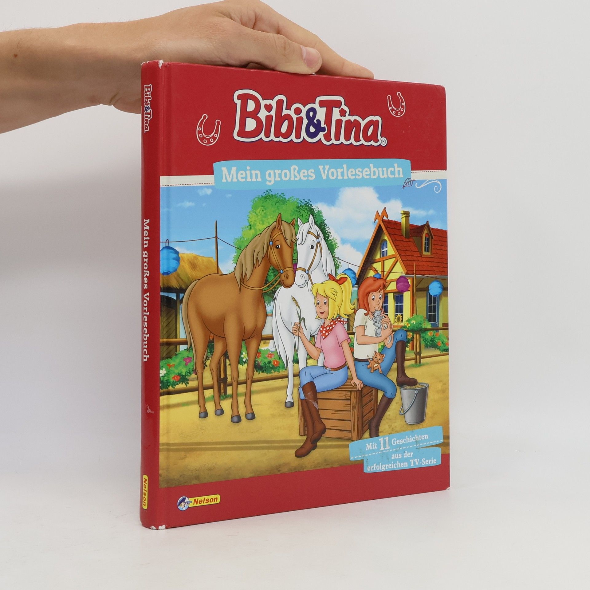 Autorenkollektiv Bibi und Tina - mein großes Vorlesebuch