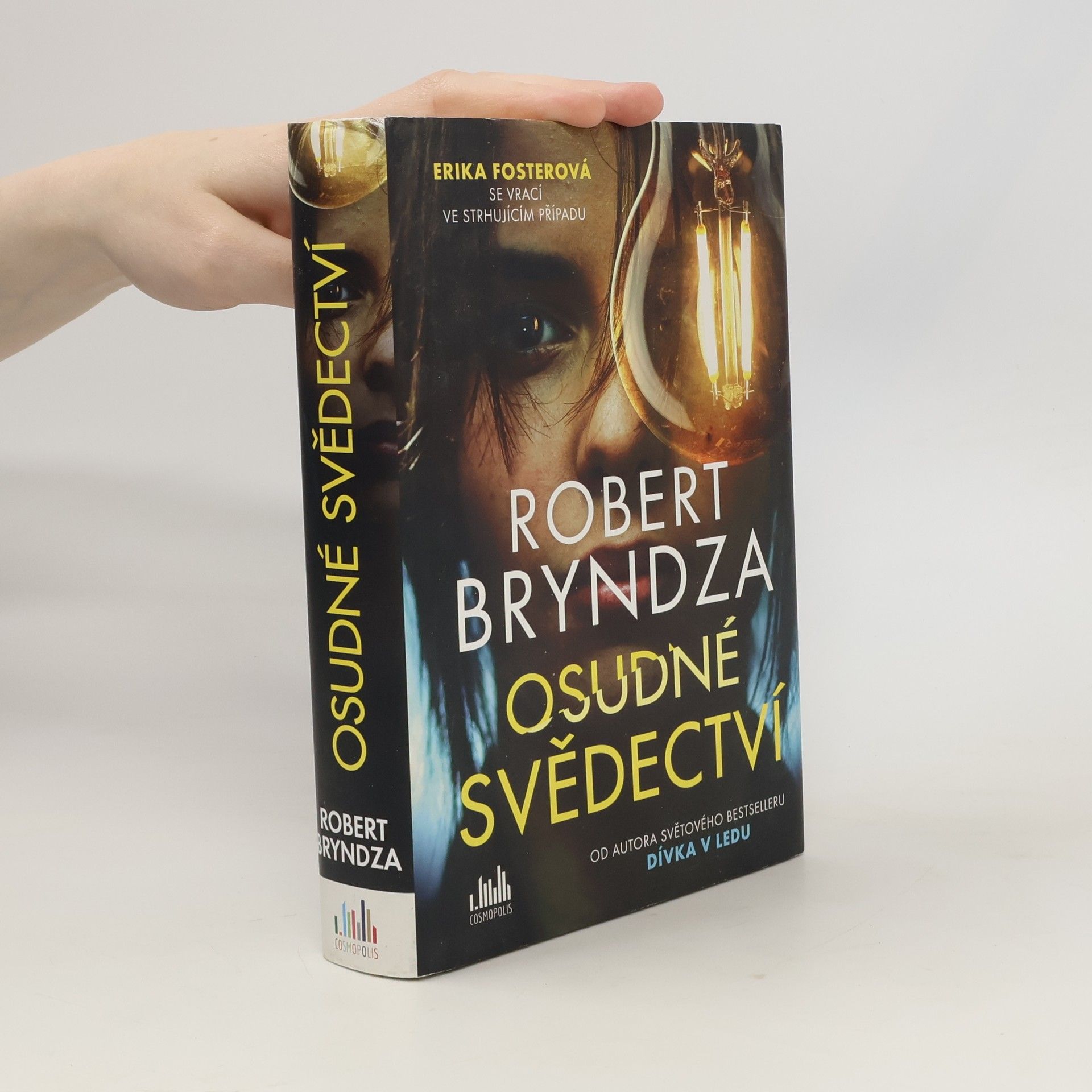 Robert Bryndza Osudné svědectví