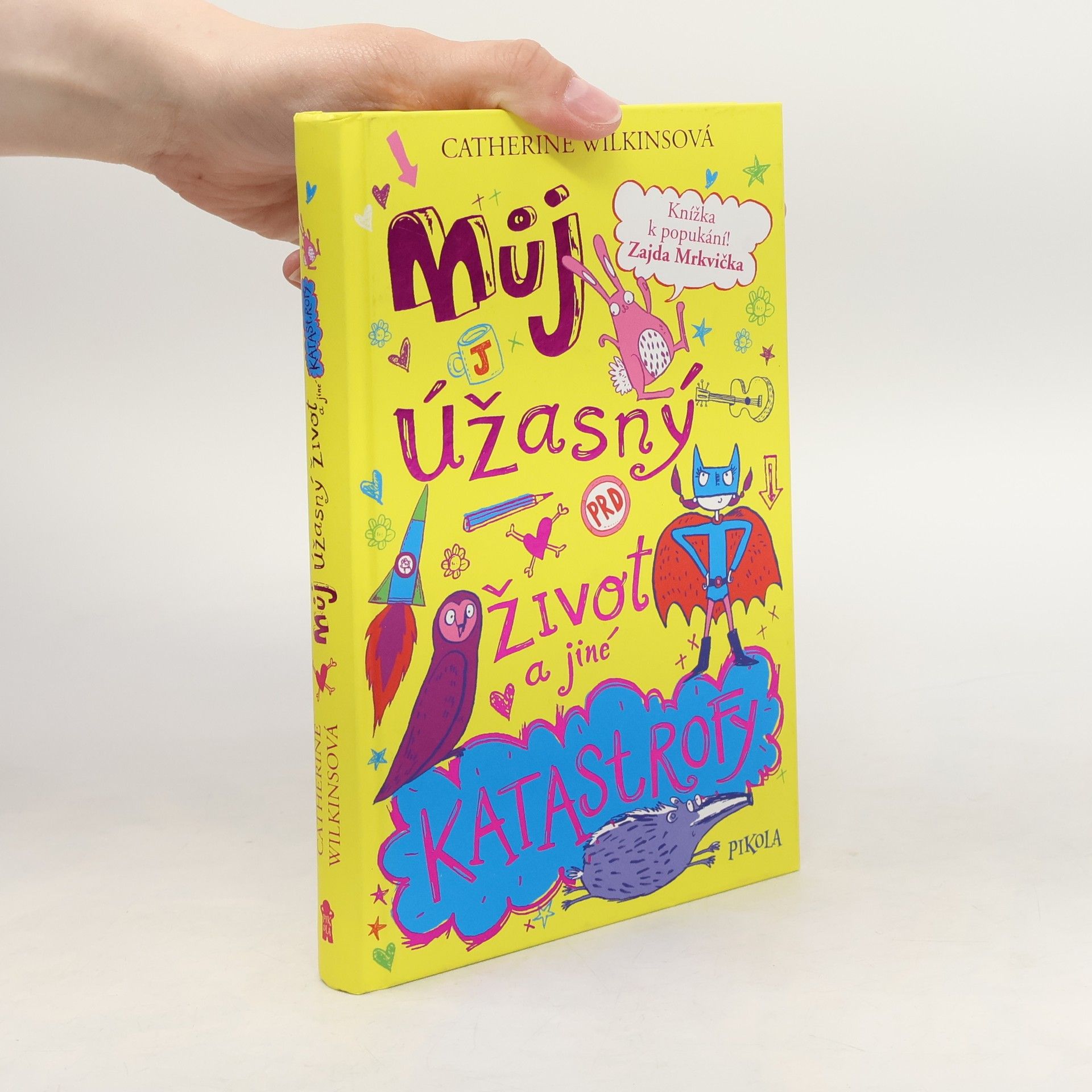Můj úžasný život a jiné katastrofy