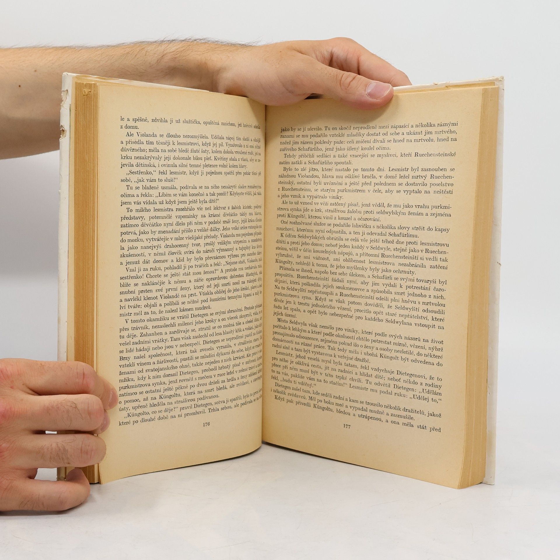 Gottfried Keller Romeo a Julie na vsi