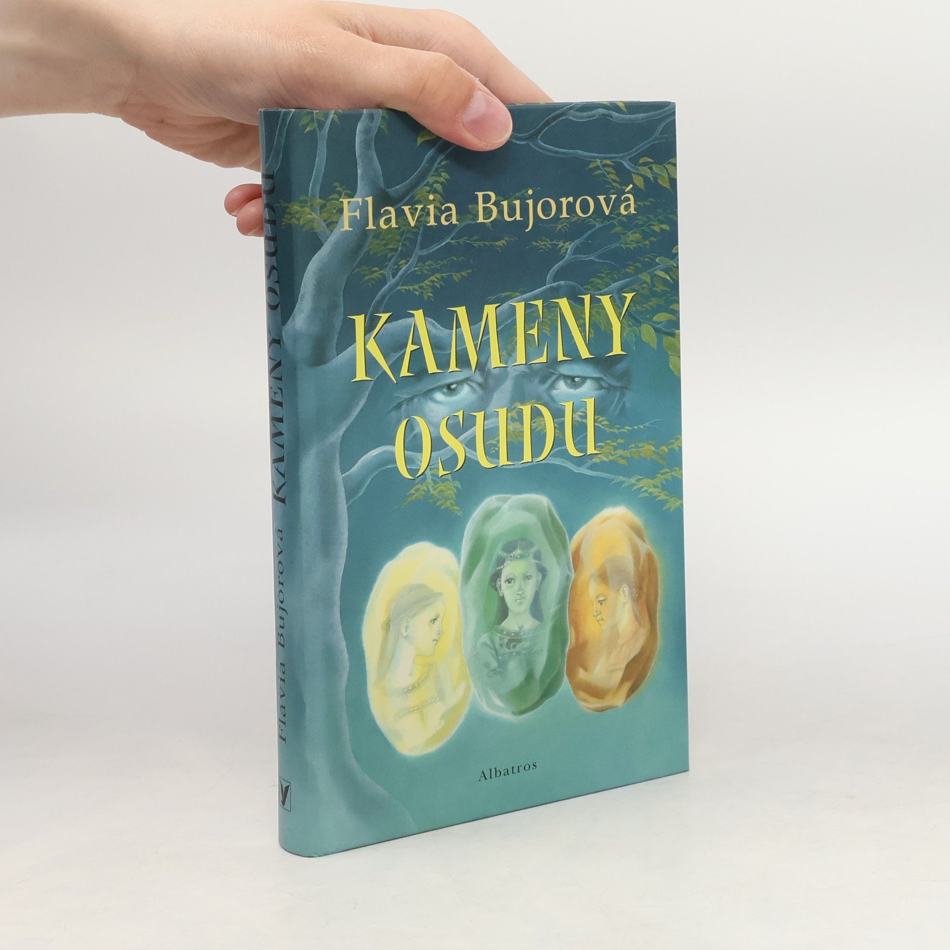 Flavia Bujor Kameny osudu