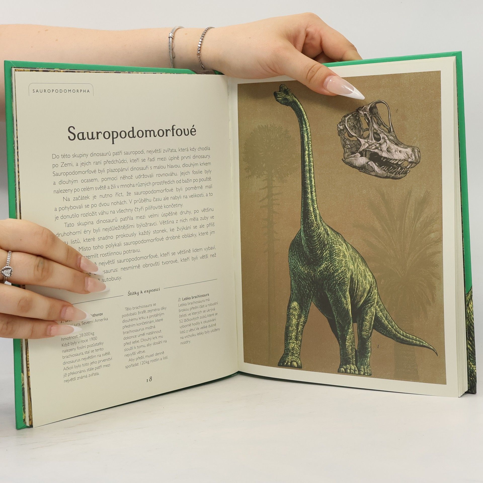 Lily Murray Dinosaurium - pro mladší čtenáře