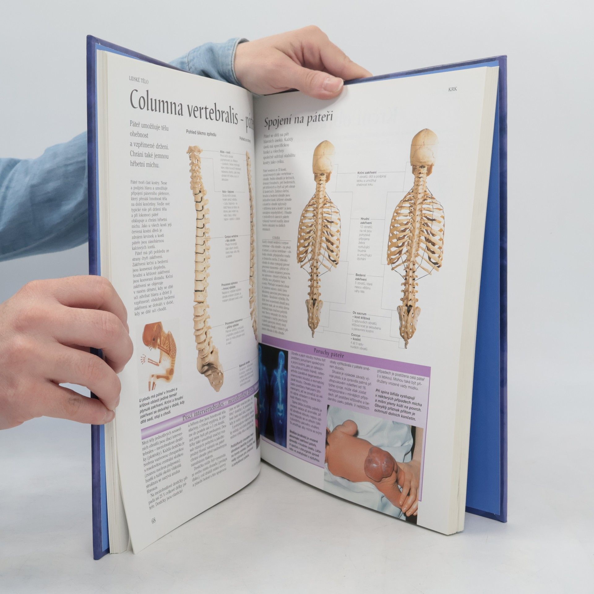 Peter H. Abrahams Lidské tělo : atlas anatomie člověka