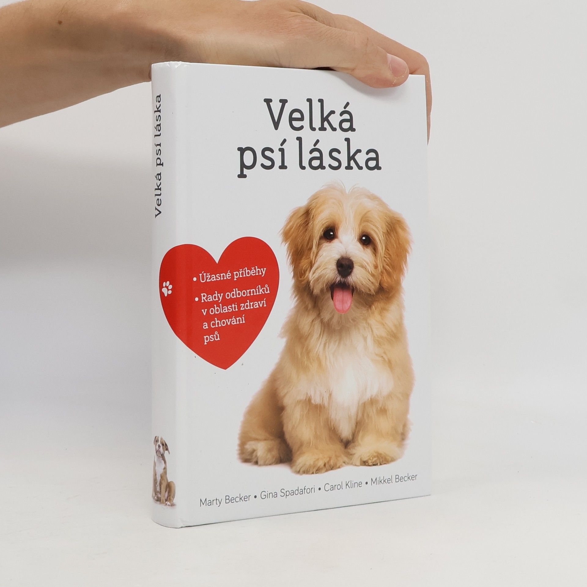 Marty Becker Velká psí láska: Příběhy, rady a úžasné fotografie psích bytostí