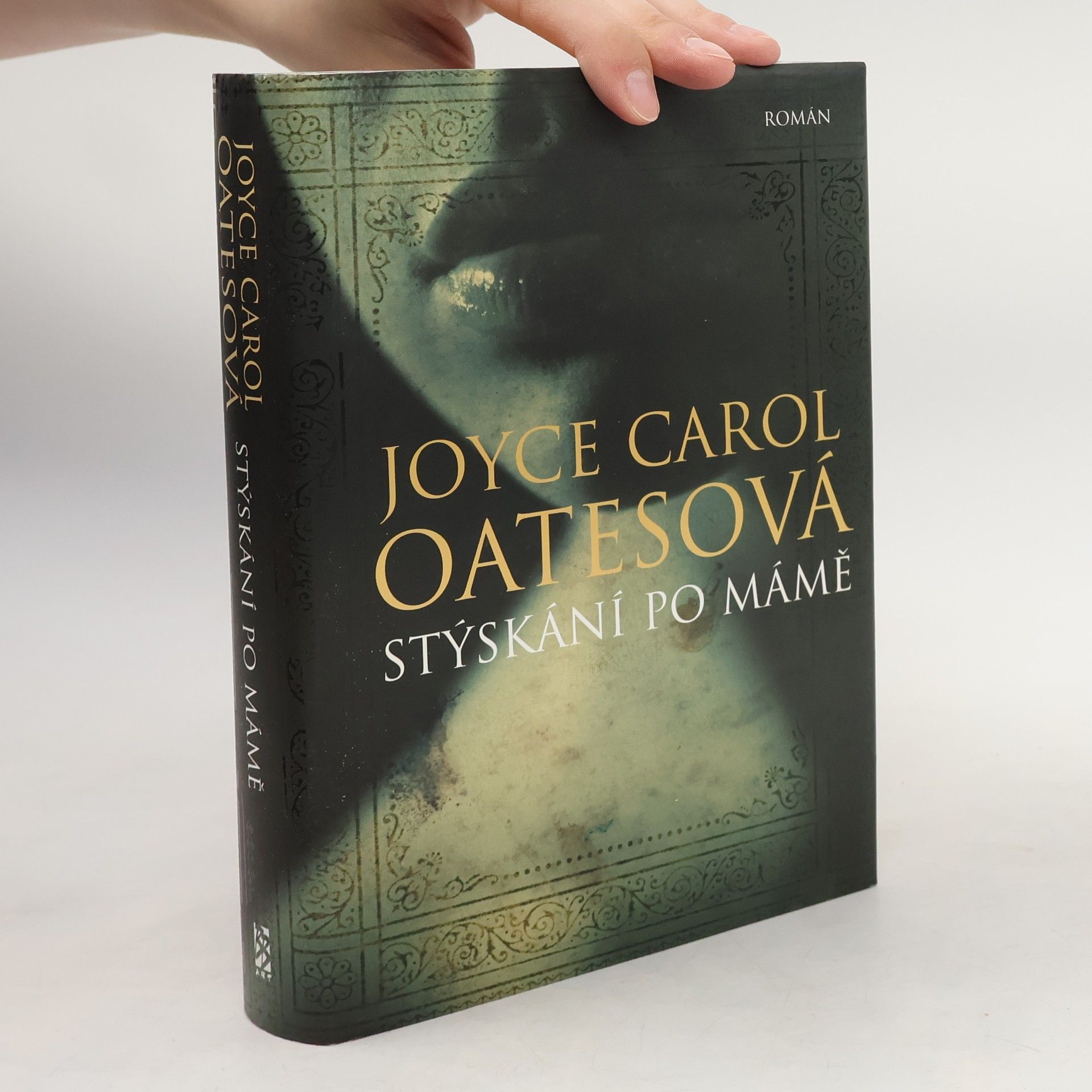 Joyce Carol Oates Stýskání po mámě