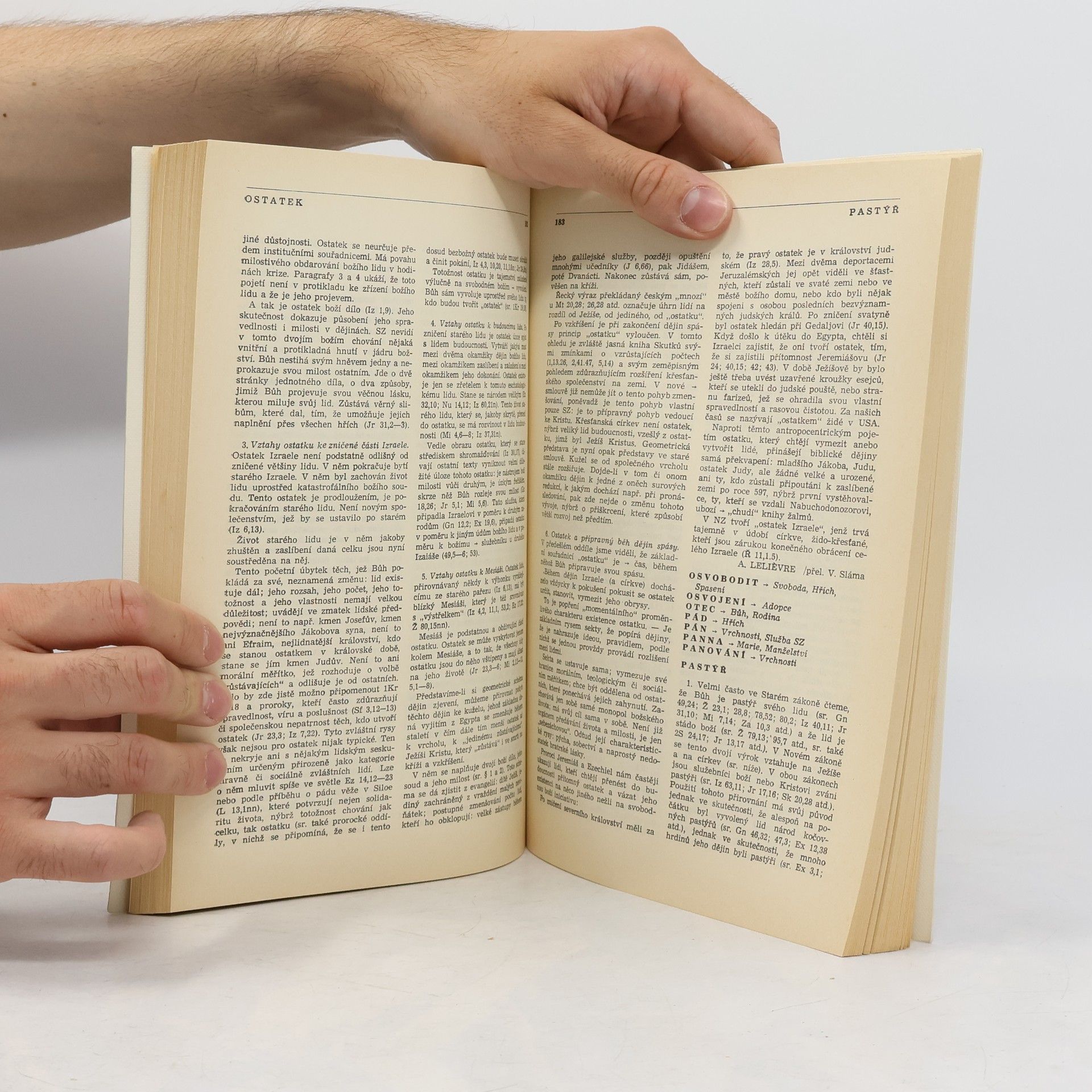Kolektiv autorů Biblický slovník