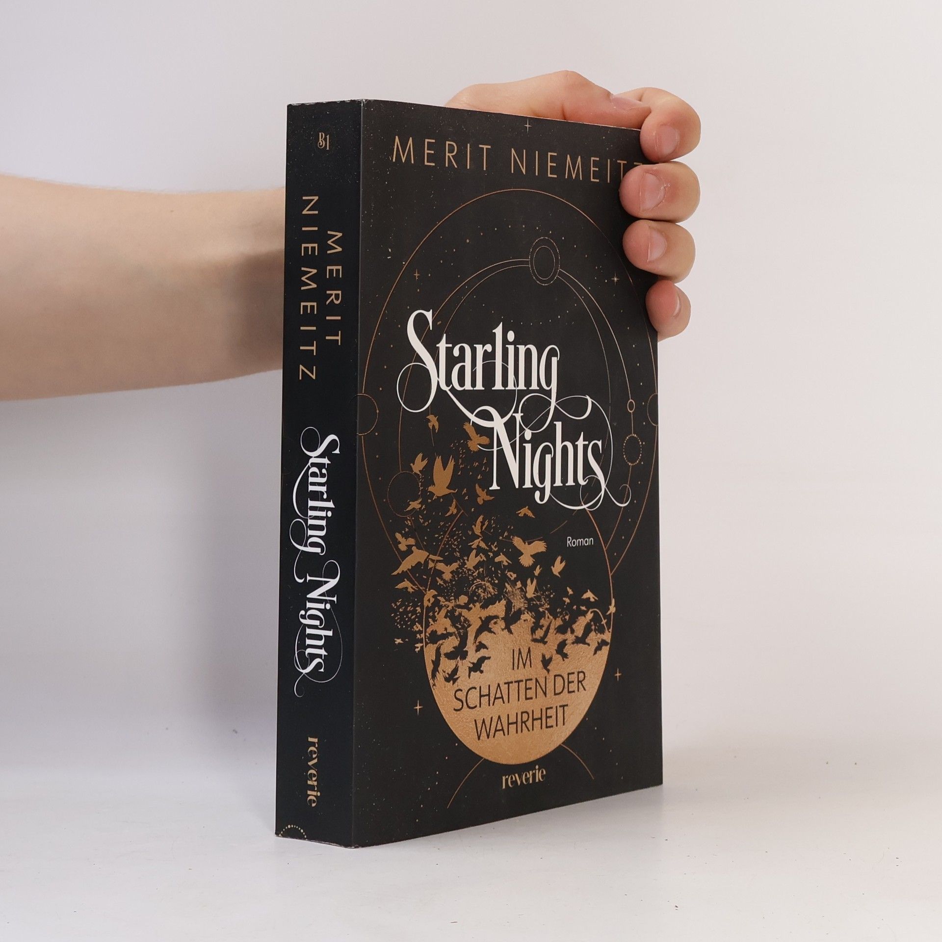 Merit Niemeitz Starling Nights 1