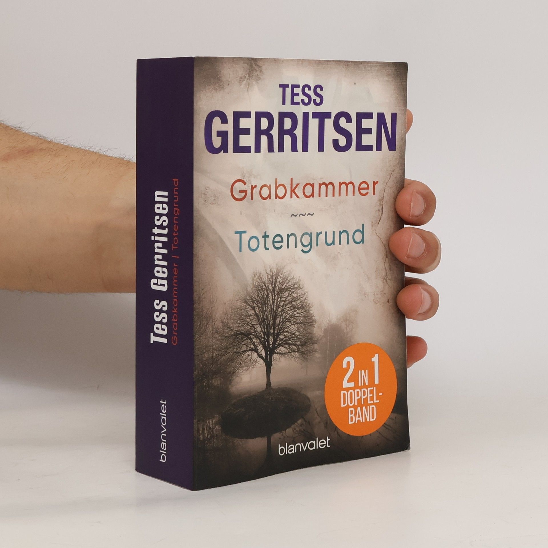Tess Gerritsen Grabkammer