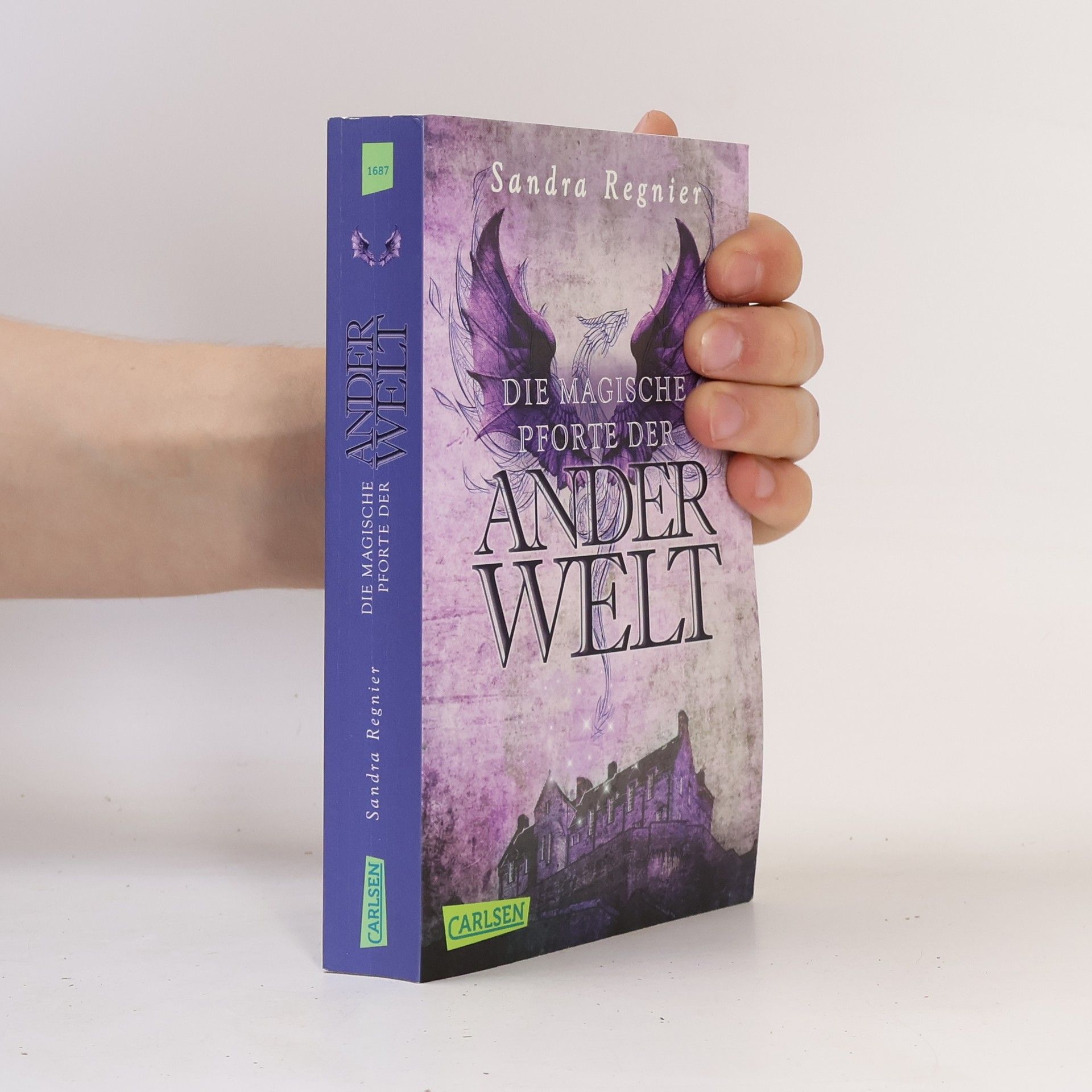 Sandra Regnier Die magische Pforte der Ander Welt