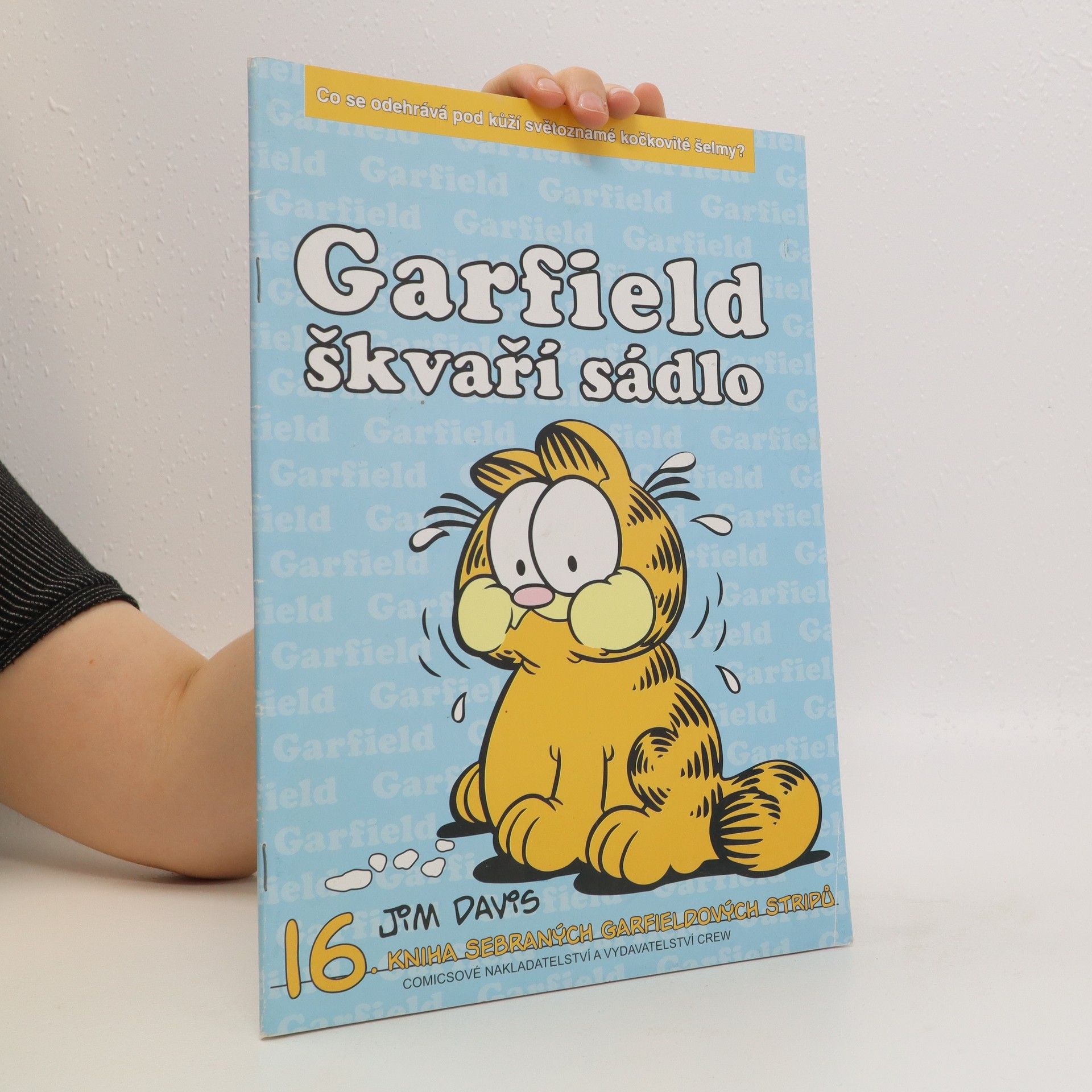 Jim Davis Garfield škvaří sádlo
