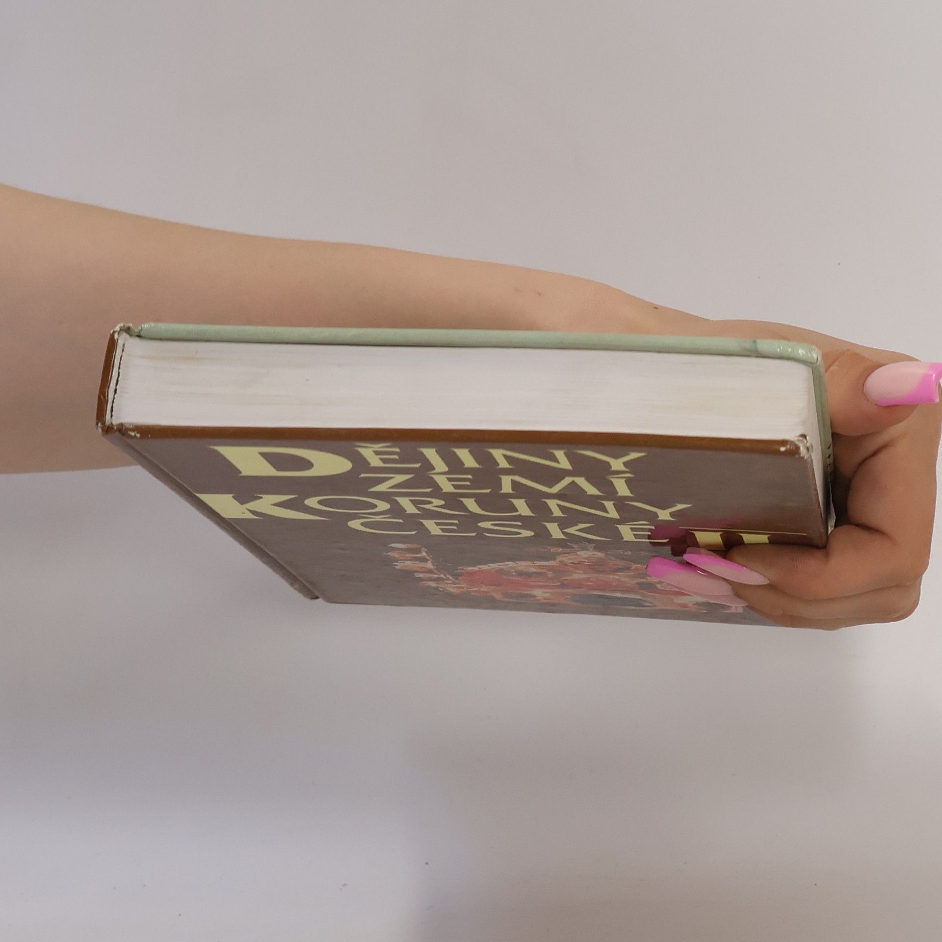 Autorenkollektiv Dějiny zemí Koruny české 2
