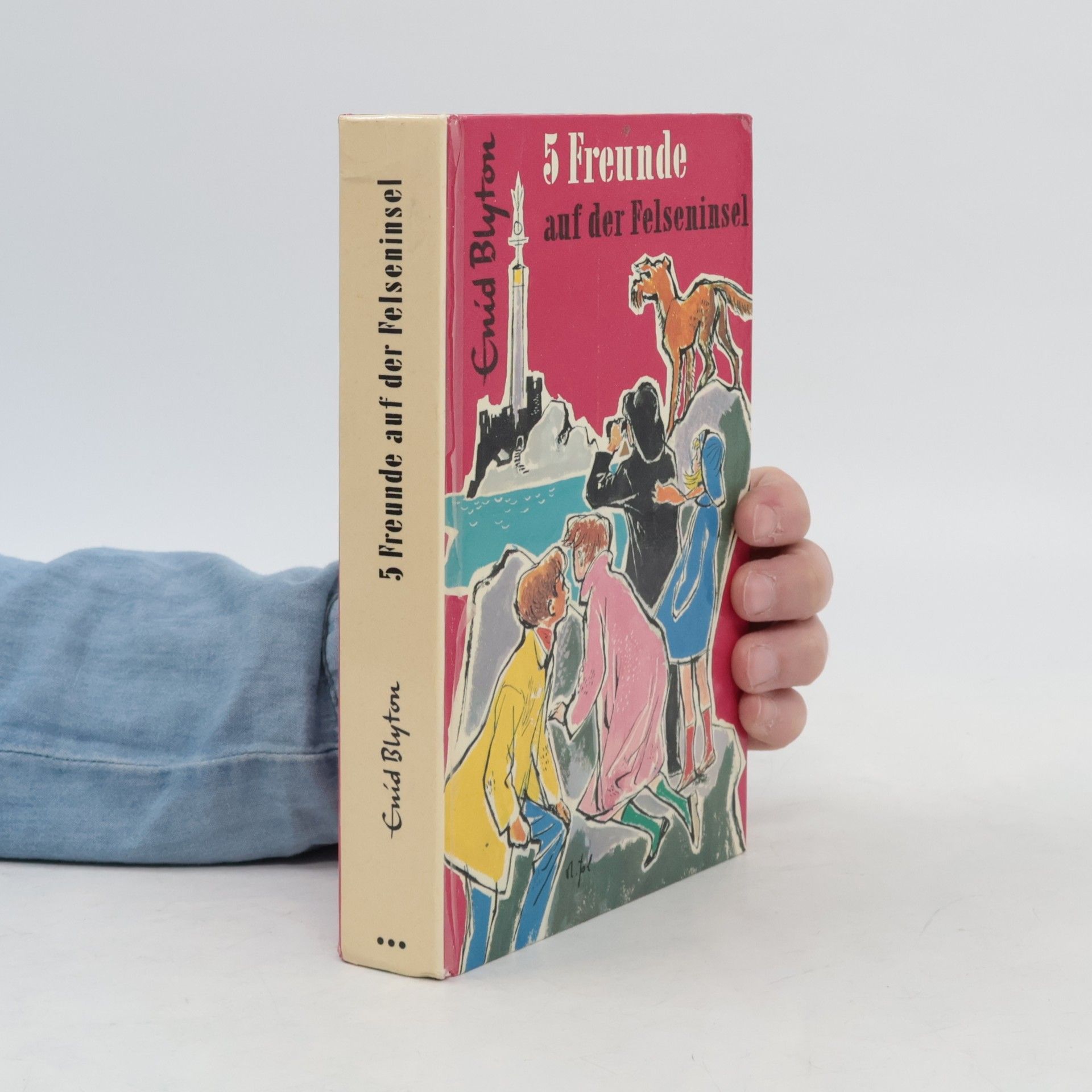 Enid Blyton 5 Freunde auf der Felseninsel