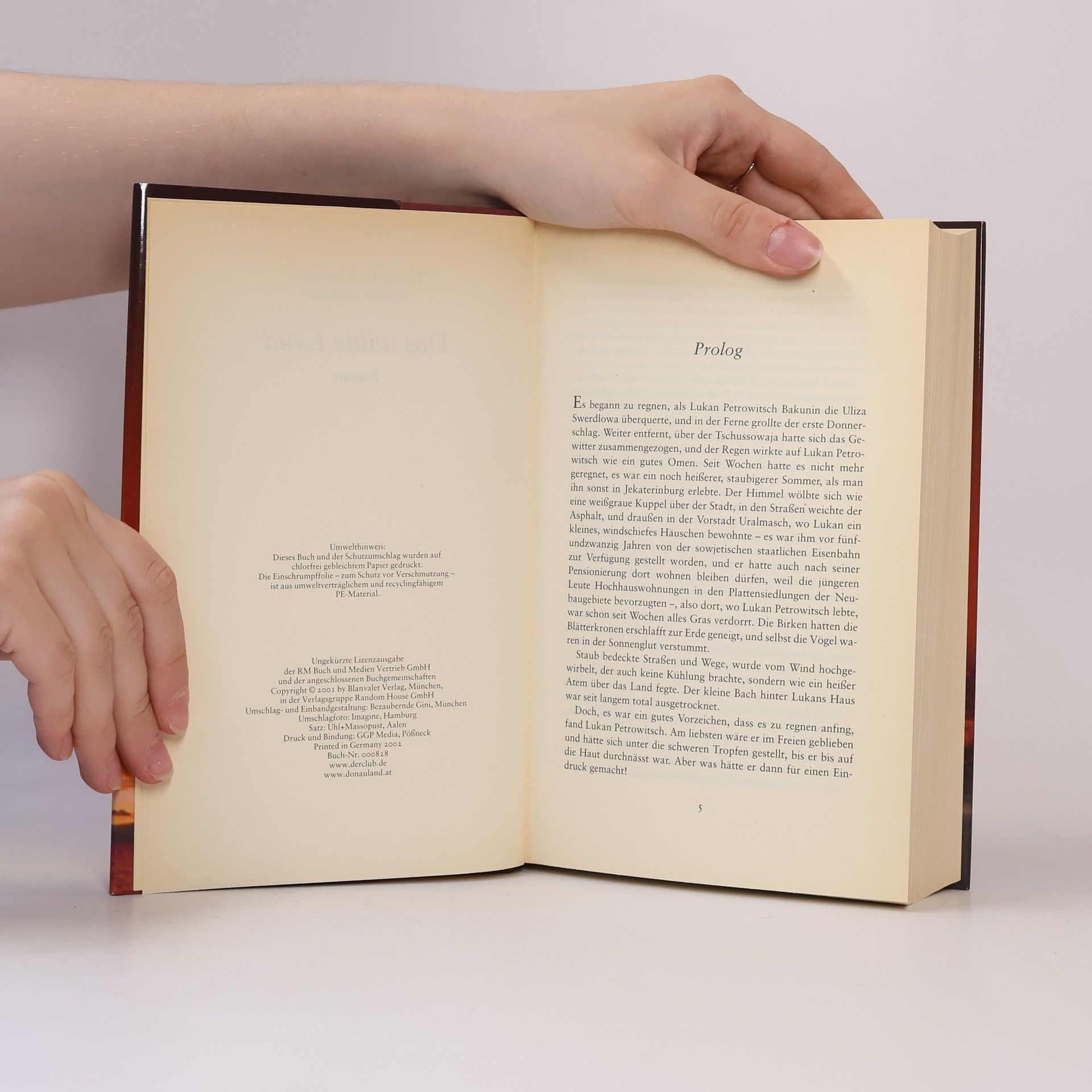Susanne Scheibler Das wilde Land