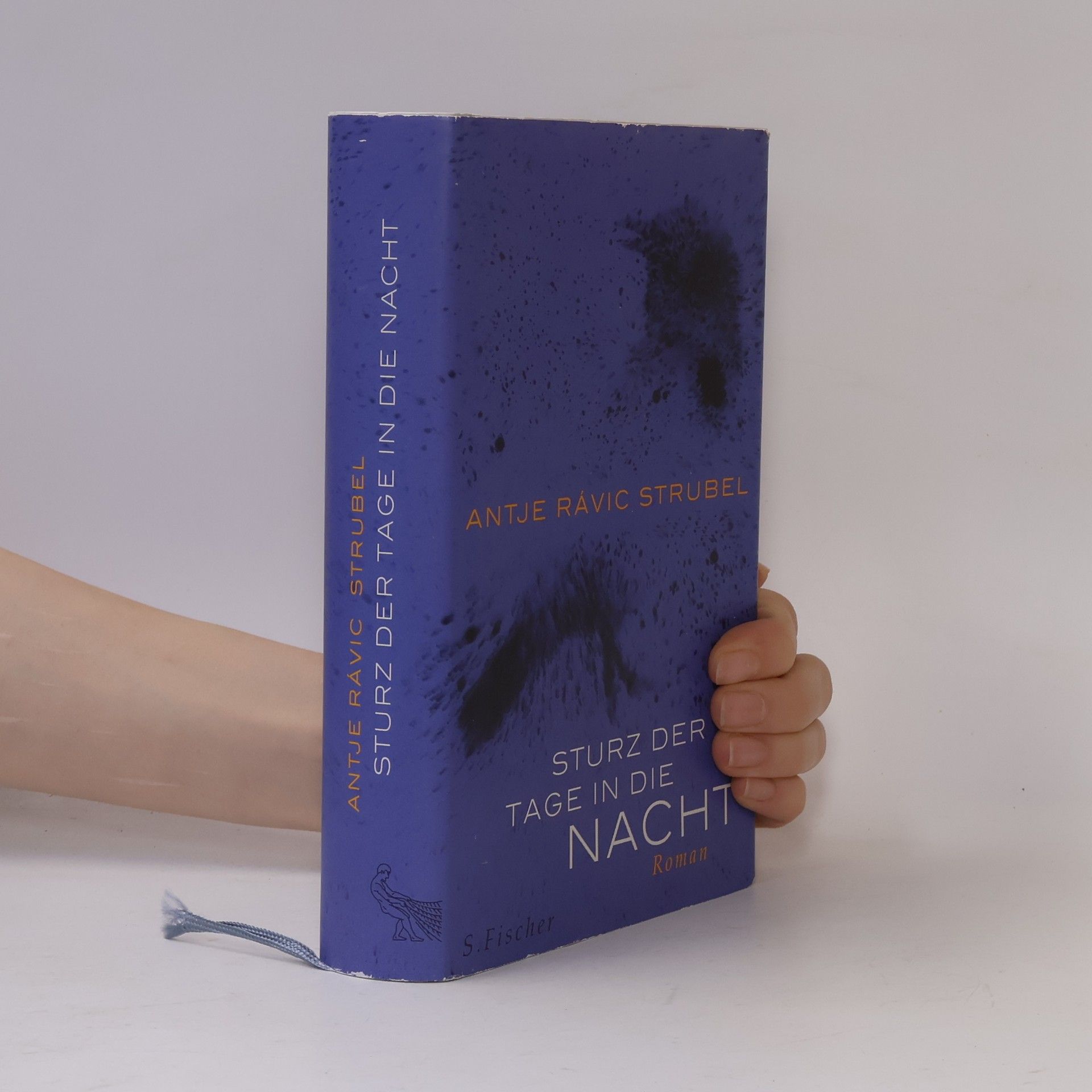 Antje Rávic Strubel Sturz der Tage in die Nacht