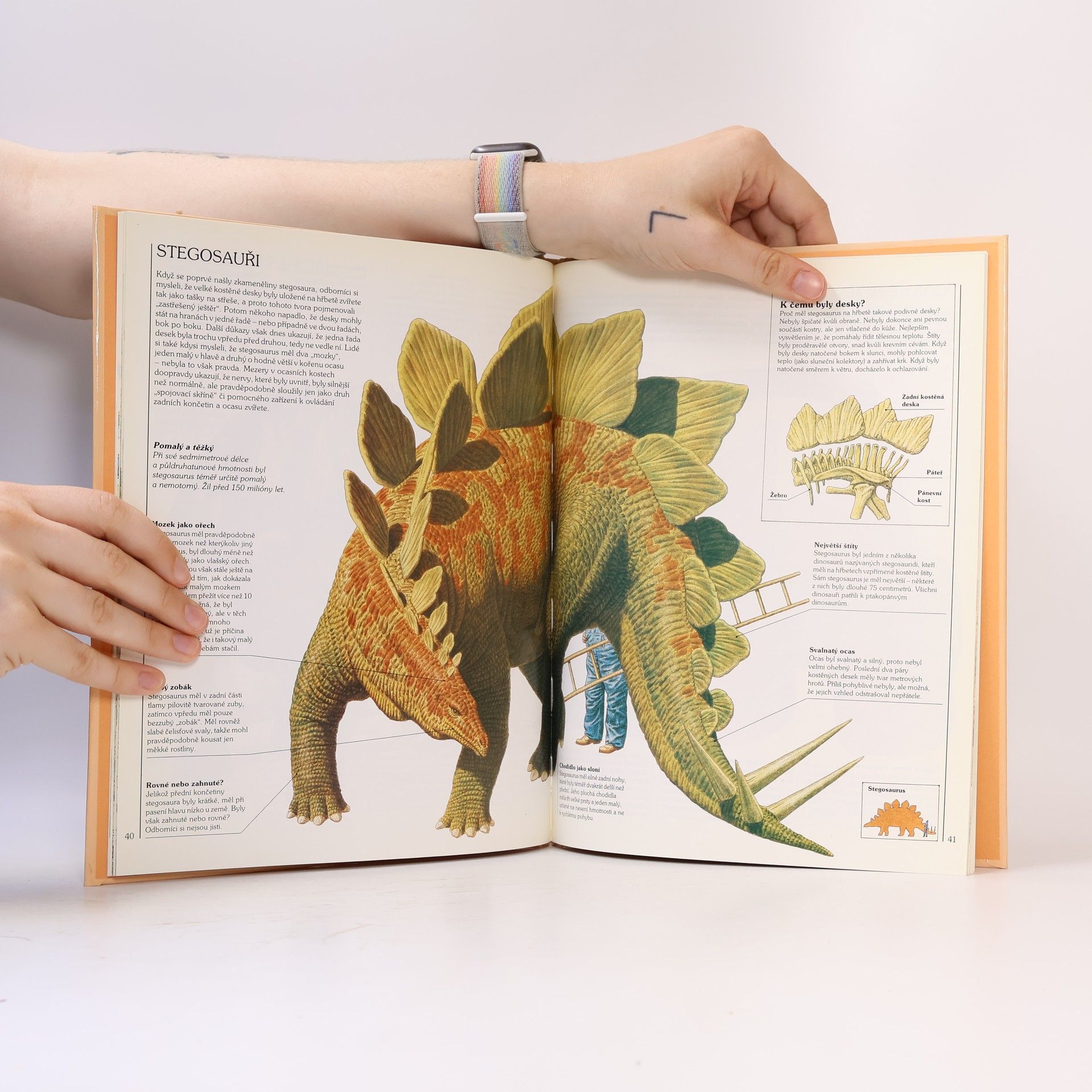 Various authors Jak žili dinosauři
