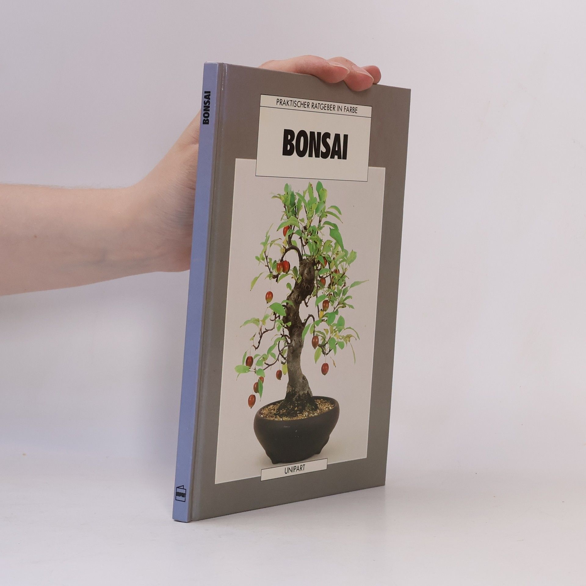 Anne Swinton Bonsai