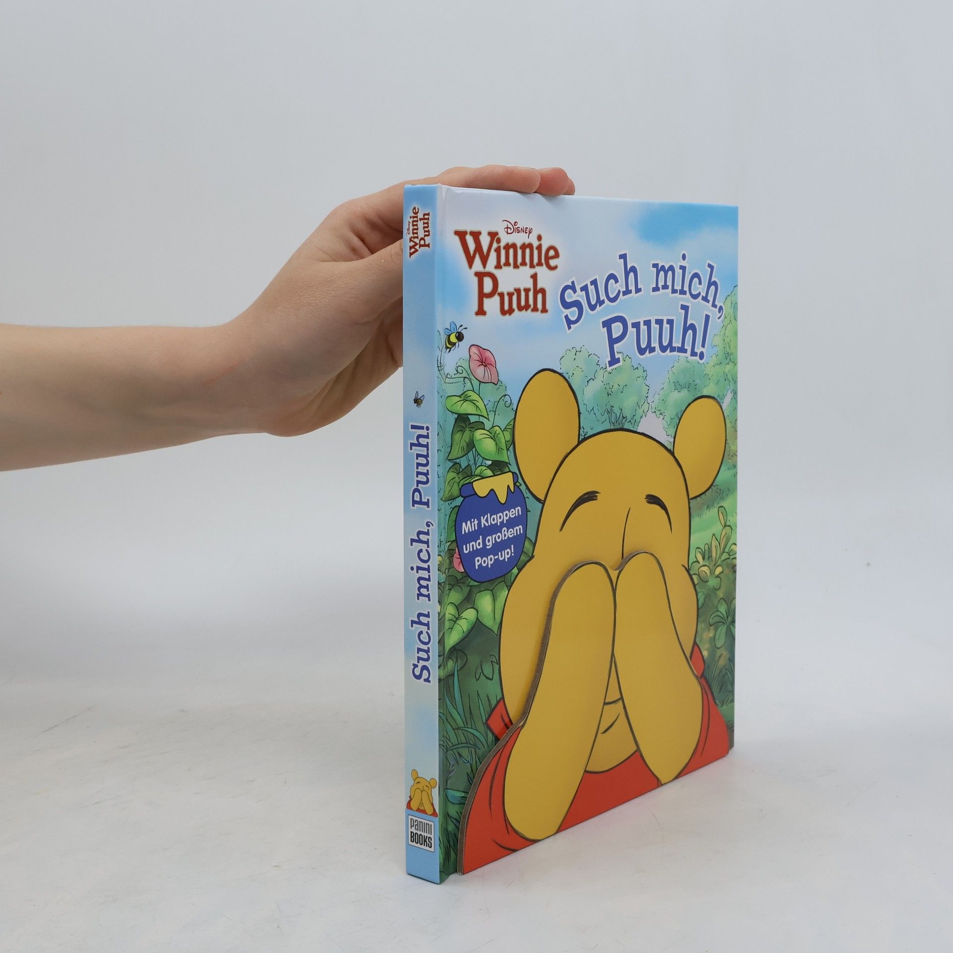 Lori Froeb Disney Winnie Puuh: Such mich, Puuh!