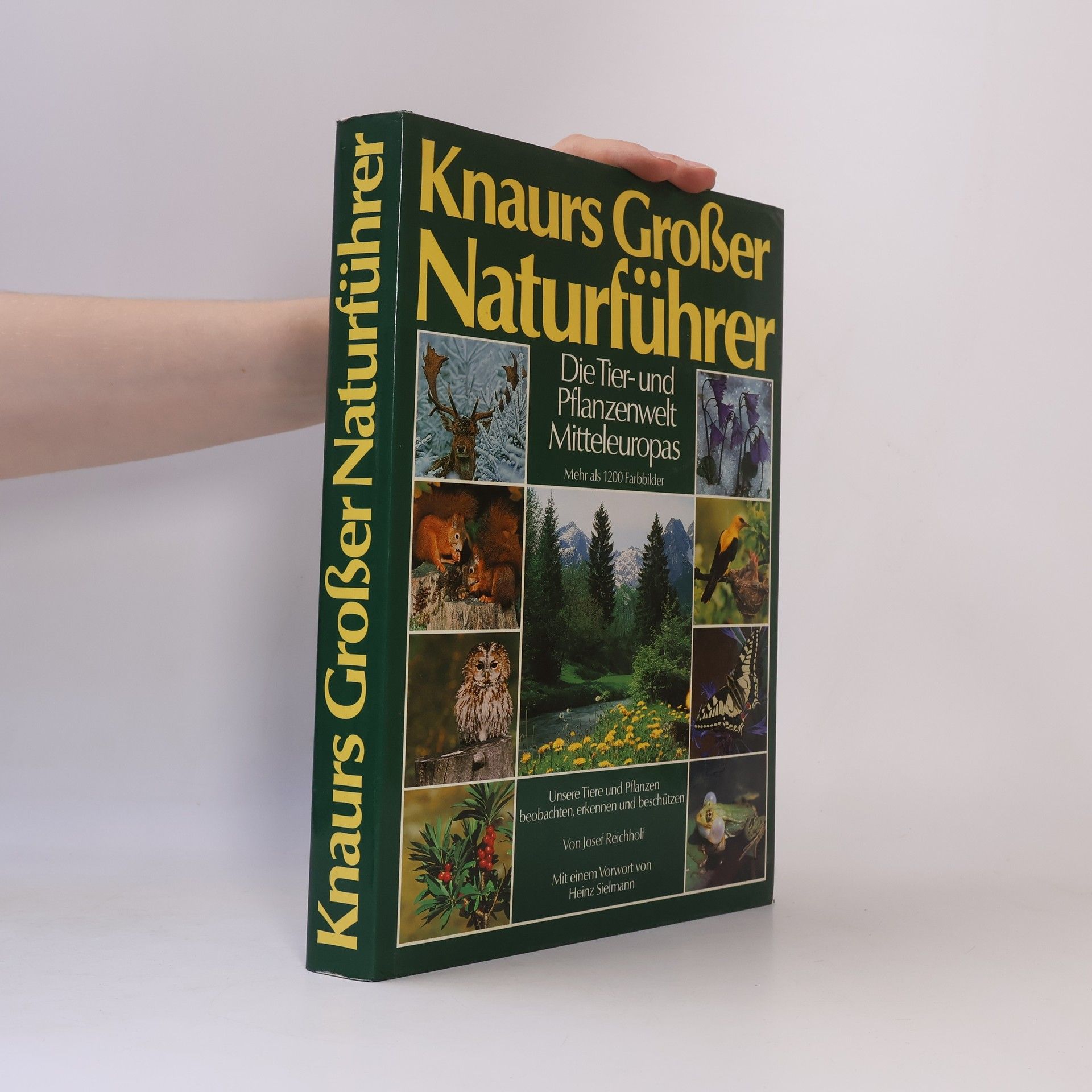 Knaurs Großer Naturführer. Die Tier- und Pflanzenwelt Mitteleuropas