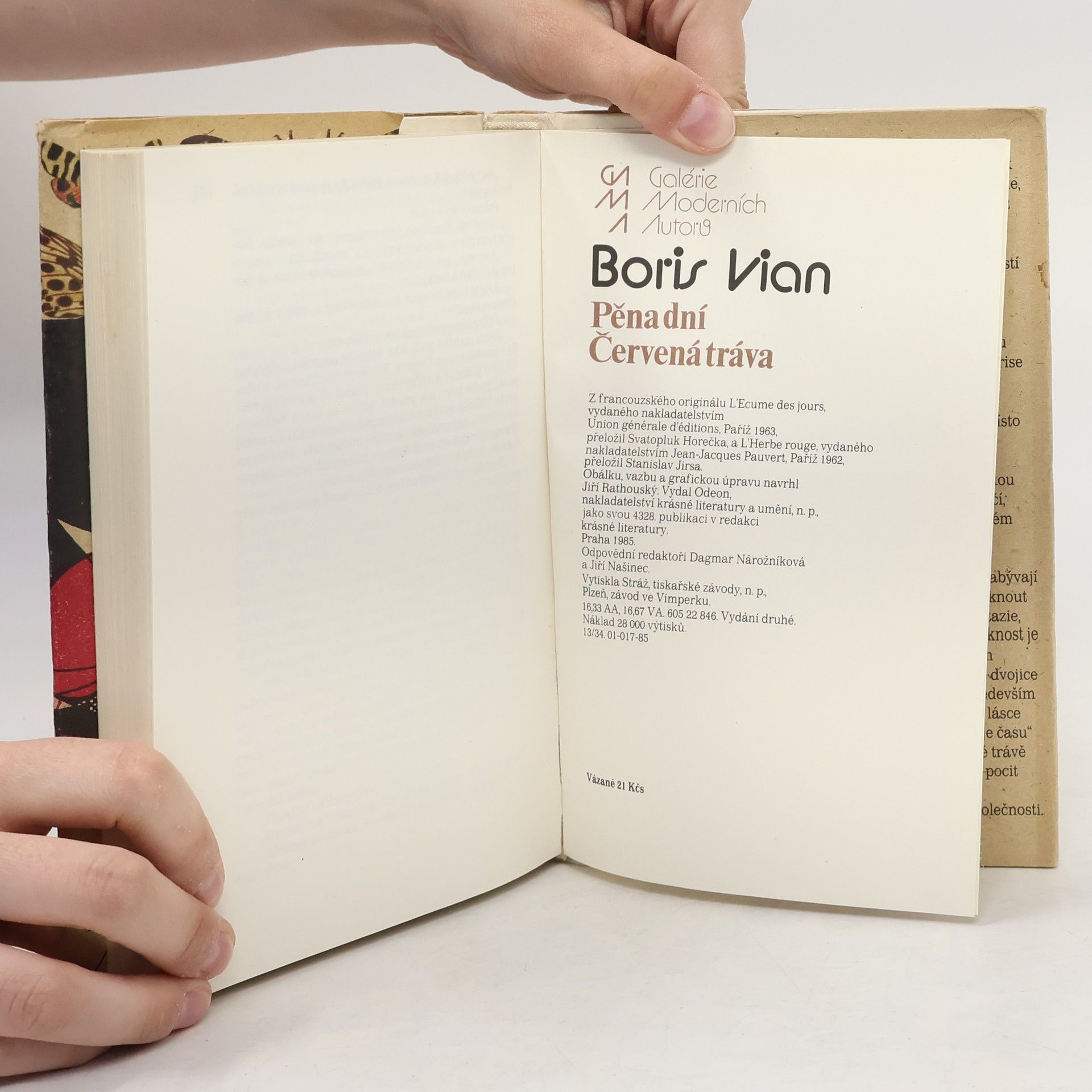 Boris Vian Pěna dní. Červená tráva