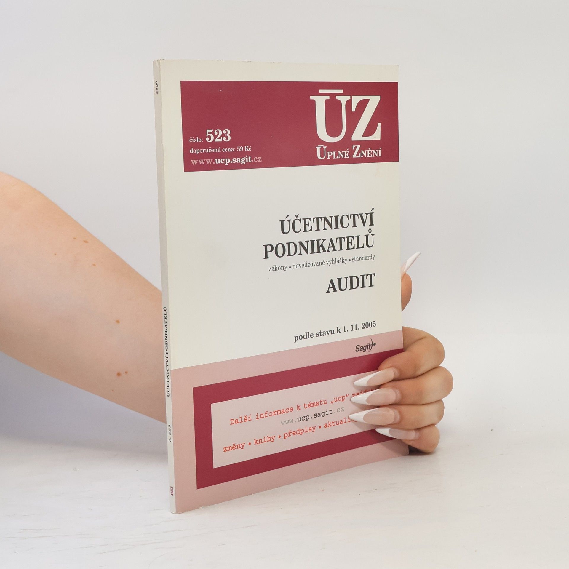Kolektív autorov Účetnictví podnikatelů, Audit. Zákony, novelizace vyhlášky, standardy : podle stavu k 1.1.2005