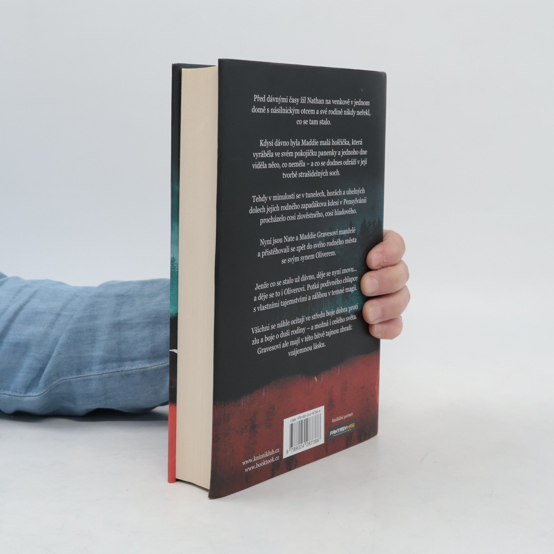 Chuck Wendig Kniha nehod