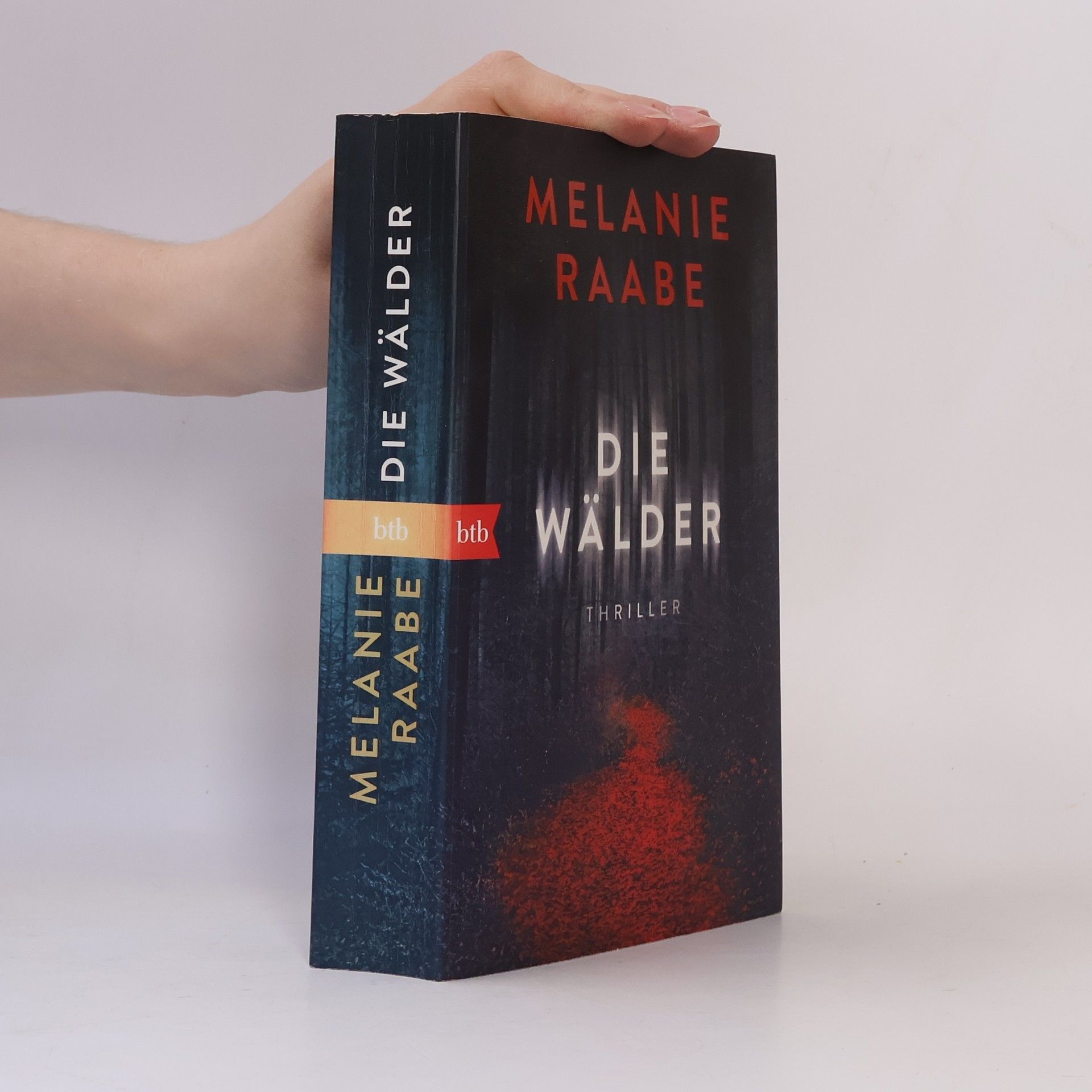 Melanie Raabe Die Wälder