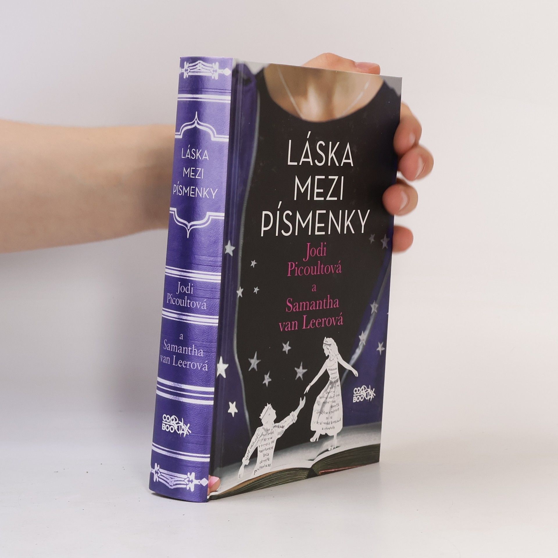 Jodi Picoult Láska mezi písmenky