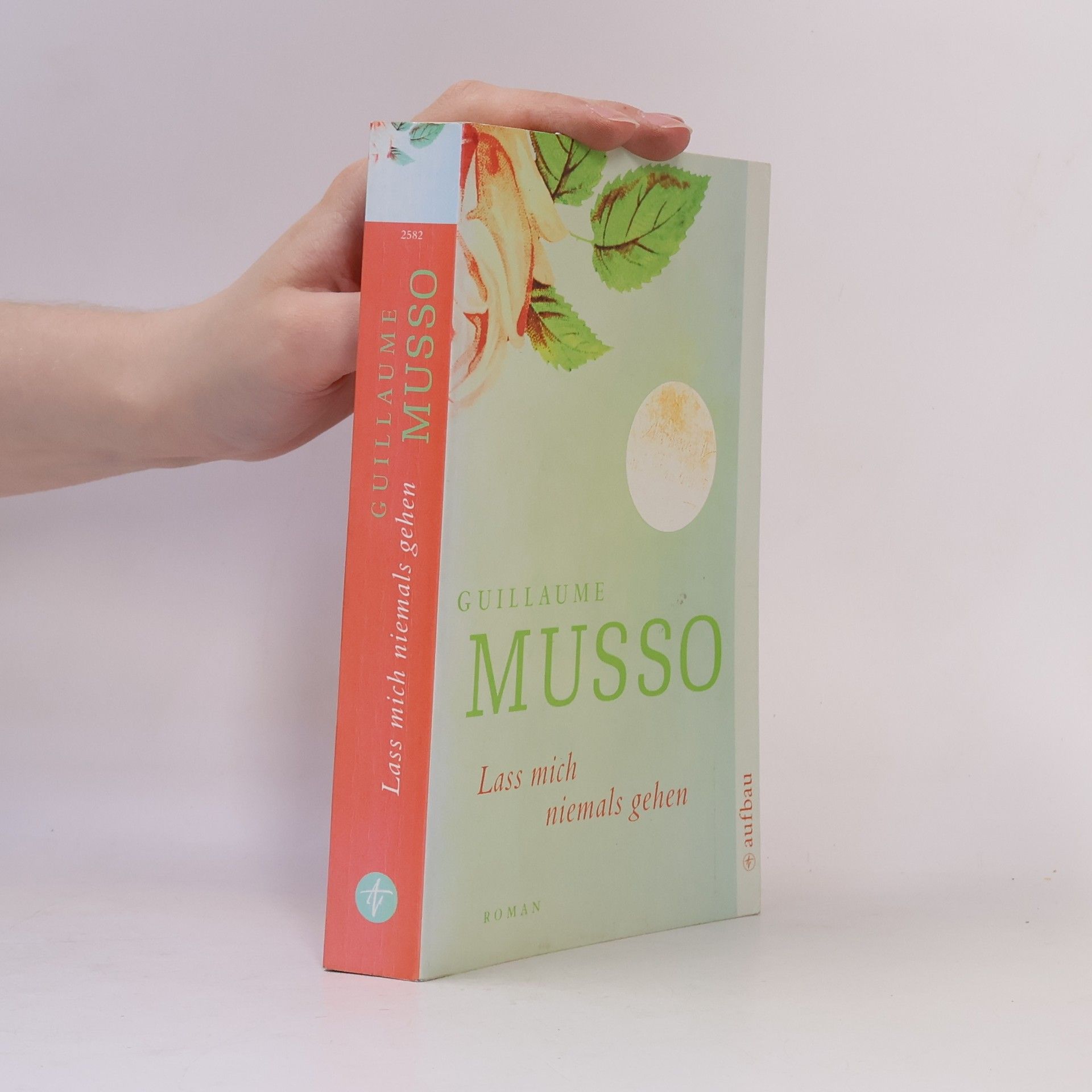 Guillaume Musso Lass mich niemals gehen