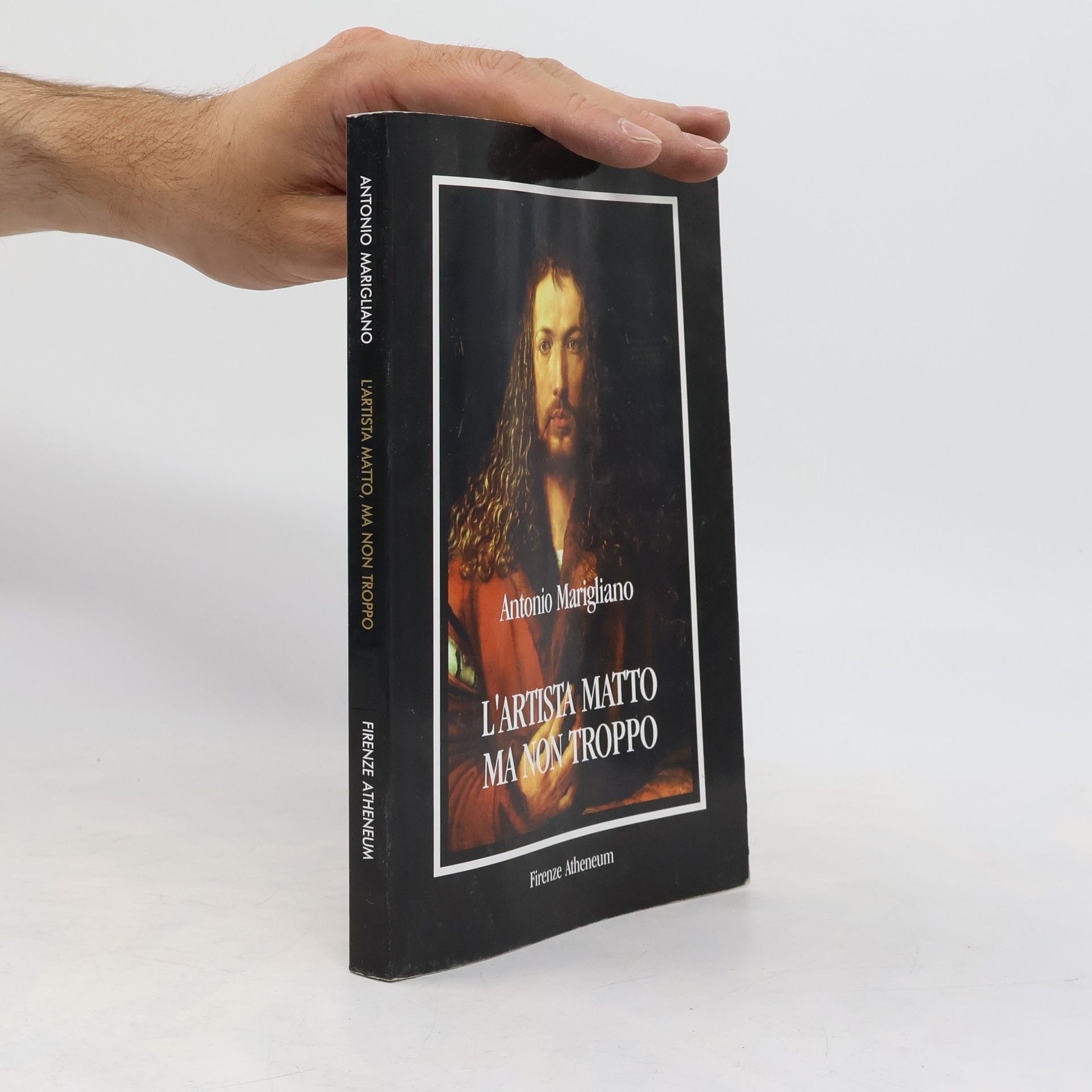 Antonio Marigliano Collezione Mercator: L'artista matto, ma non troppo