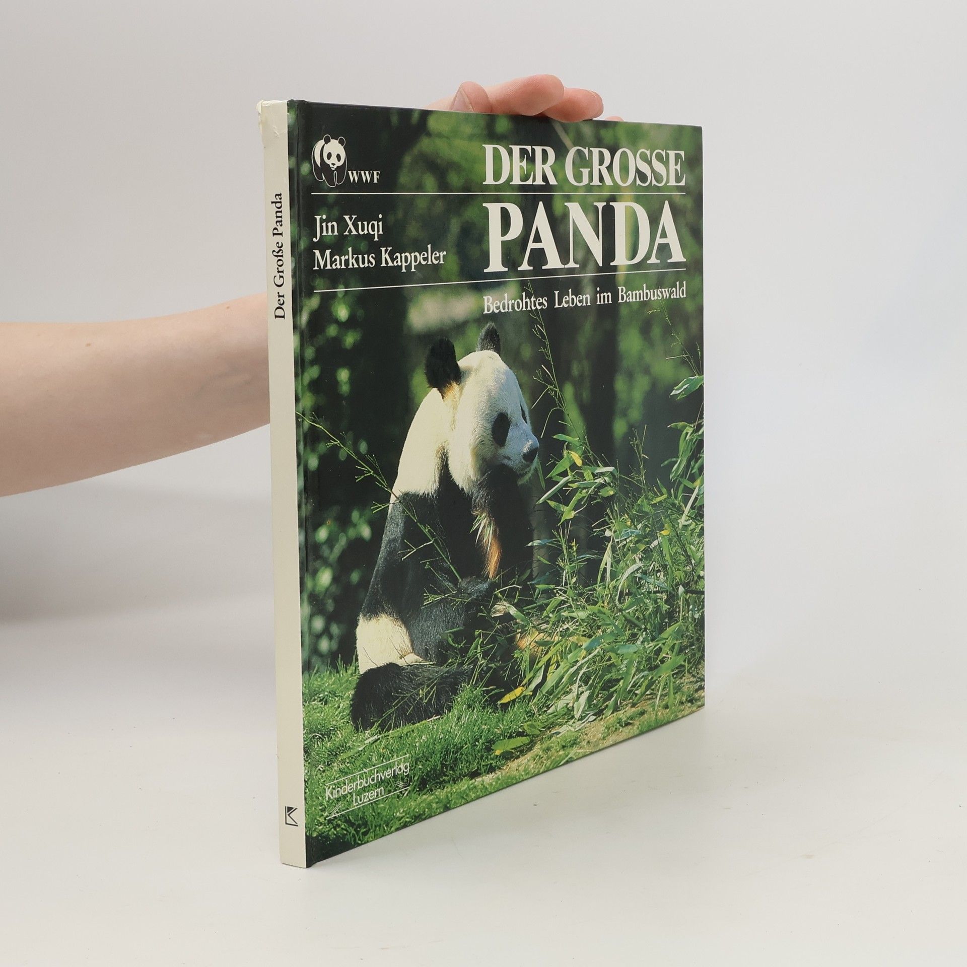 Jin Xuqi Der Grosse Panda