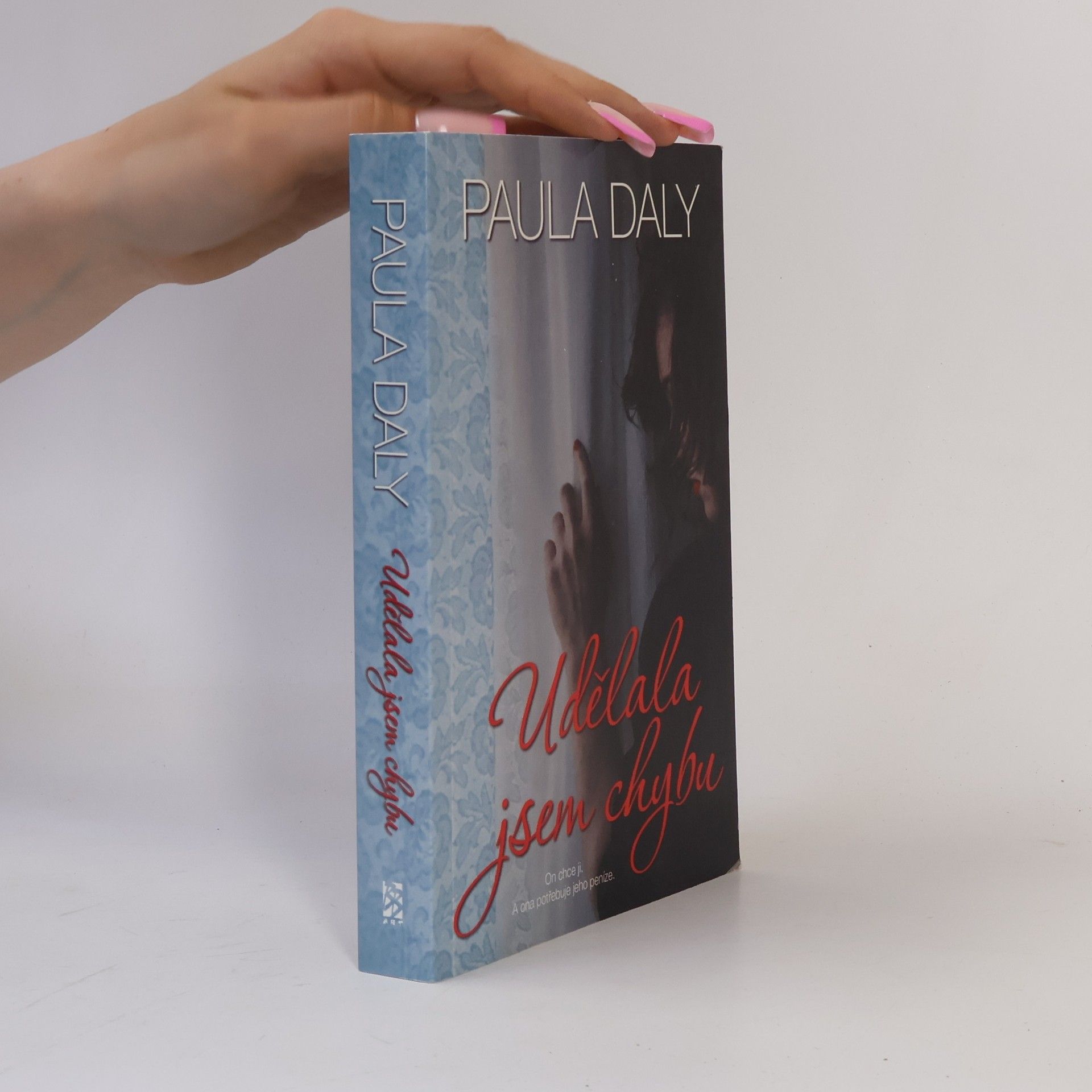 Paula Daly Udělala jsem chybu