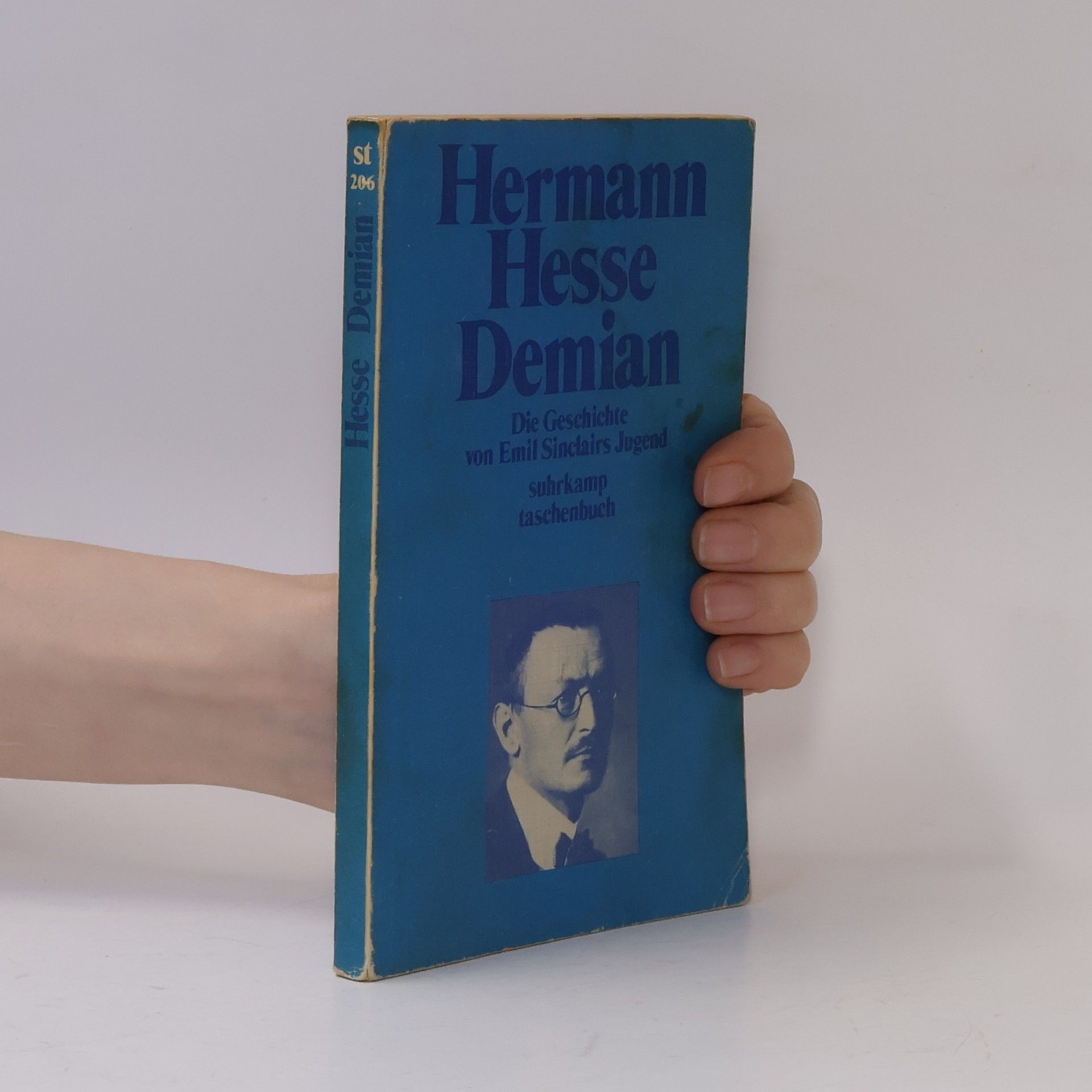 Hermann Hesse Demian : die Geschichte von Emil Sinclairs Jugend