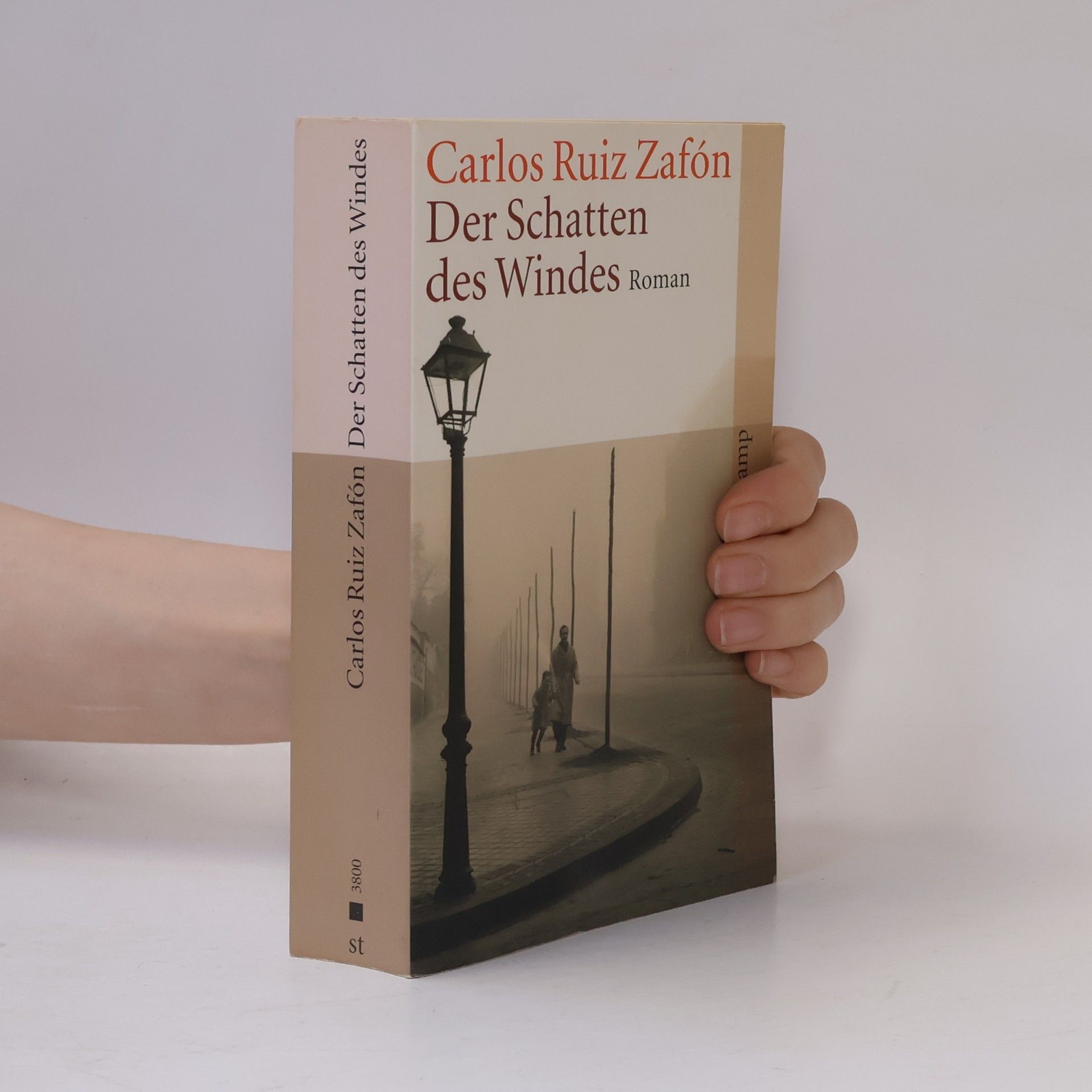 Carlos Ruiz Zafón Der Schatten des Windes